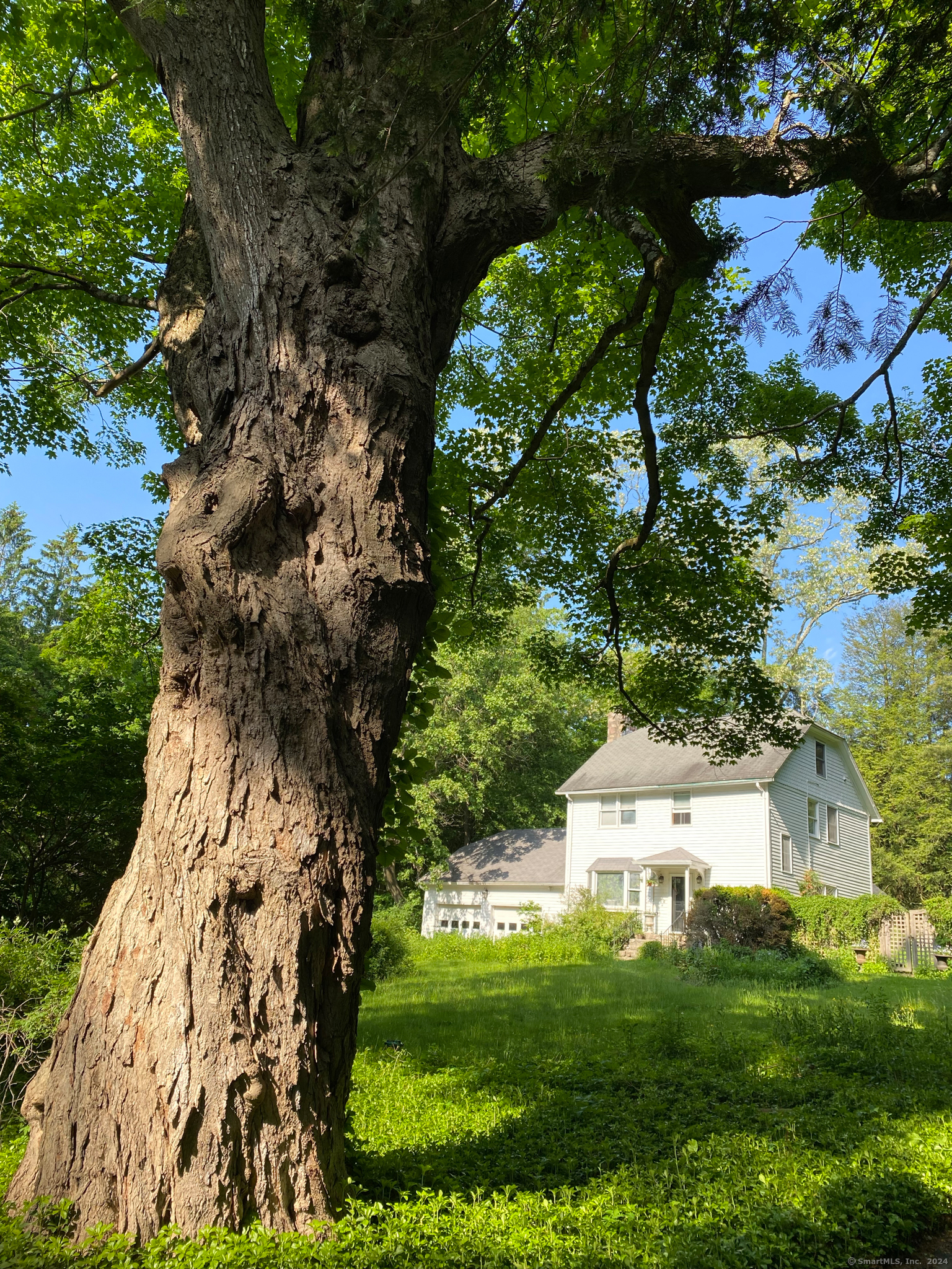 38 Bloomer Road