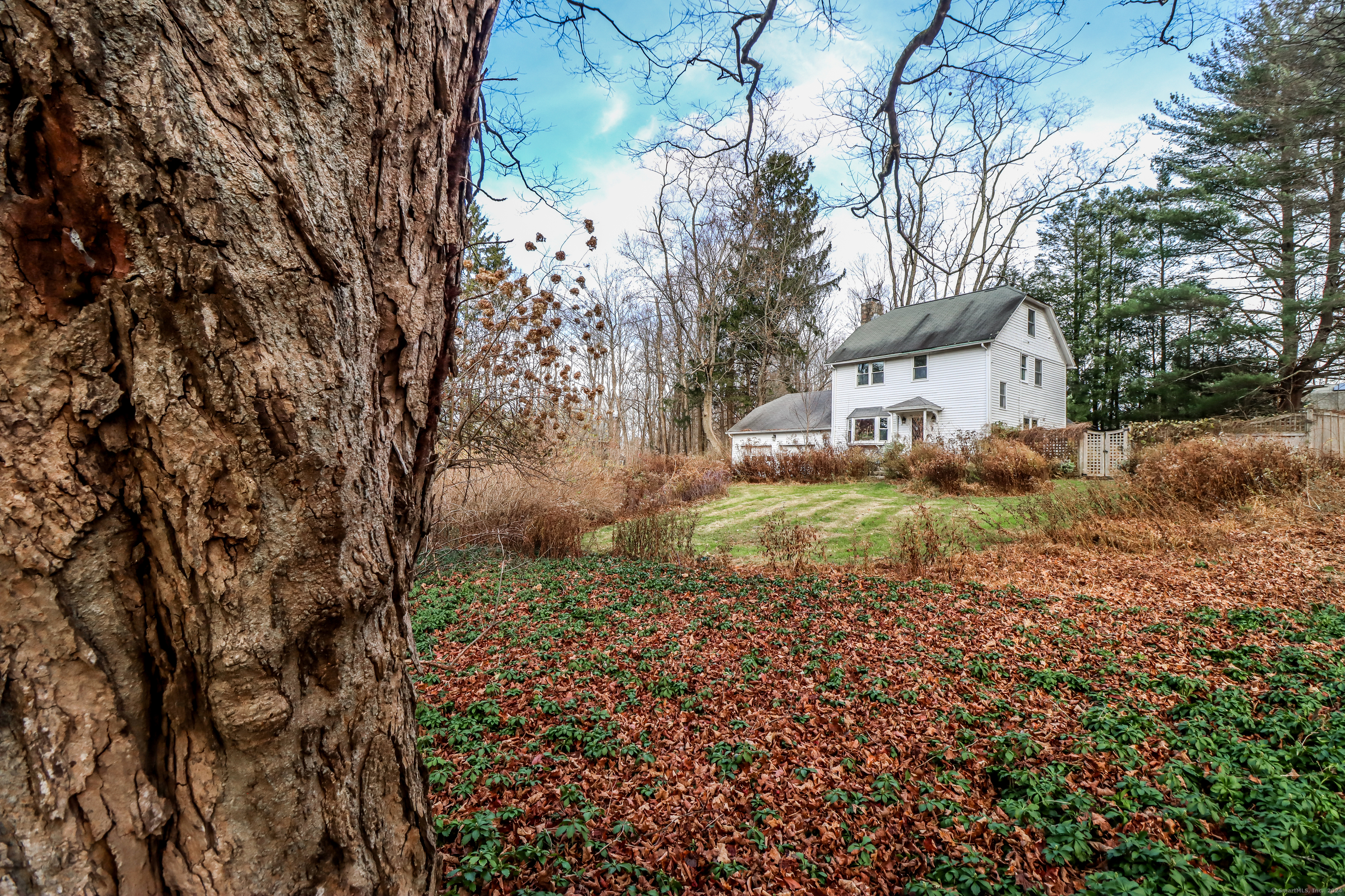 38 Bloomer Road