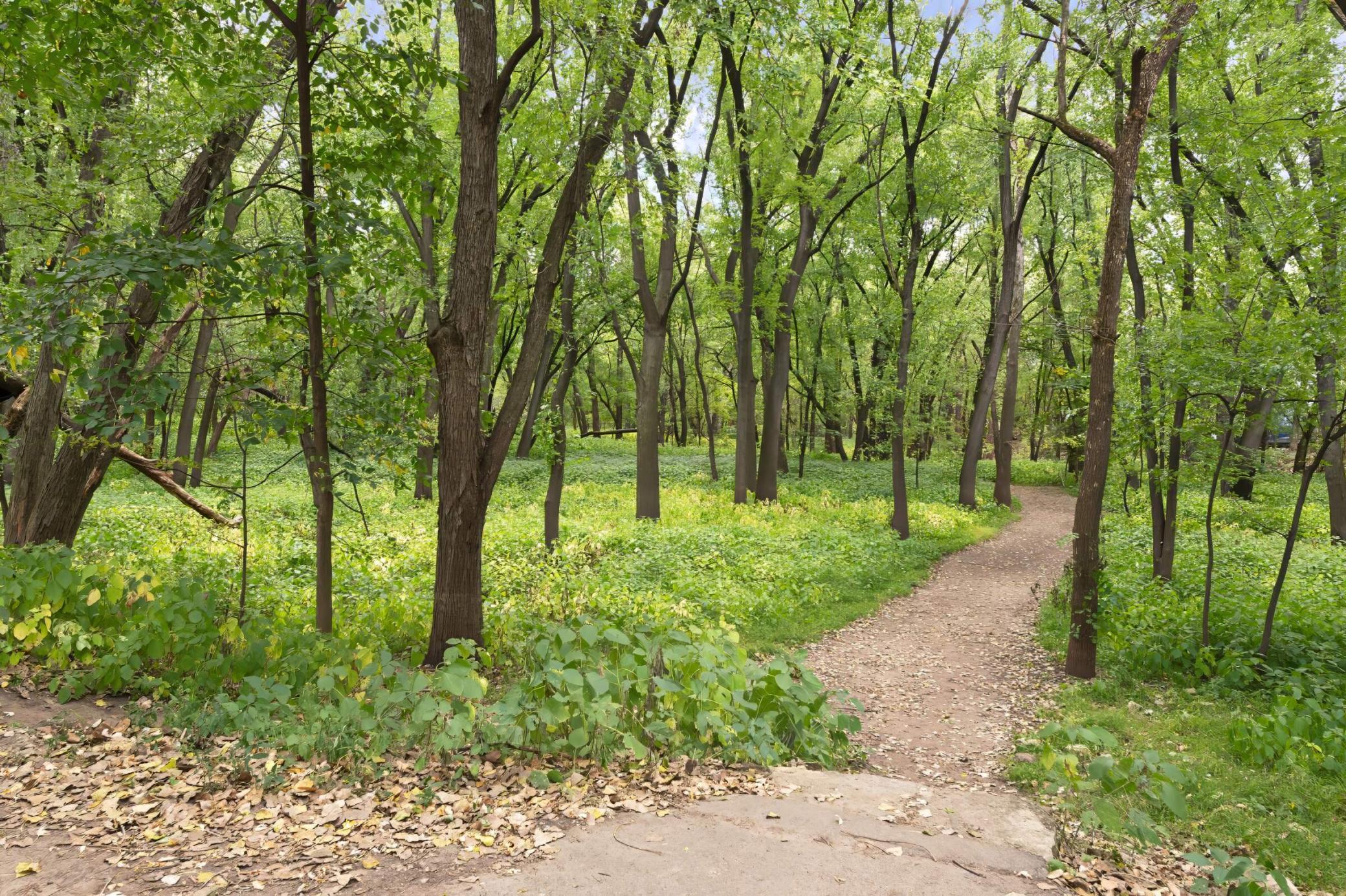 1800 Graham Avenue Unit: 323