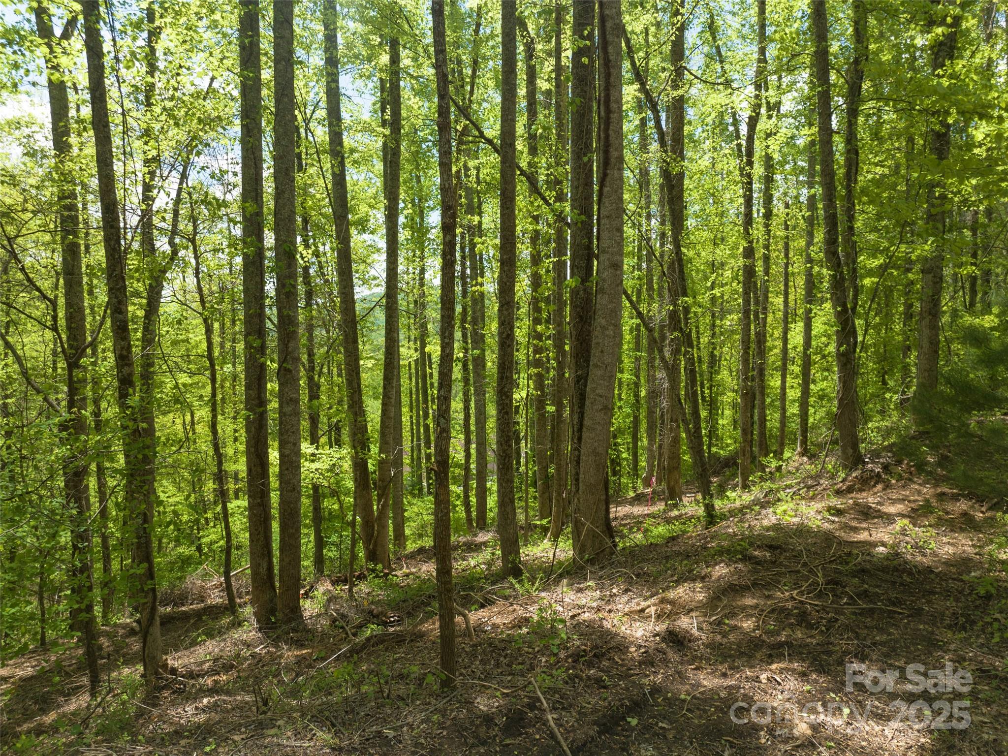 26 Fall Mountain Road Unit: 58