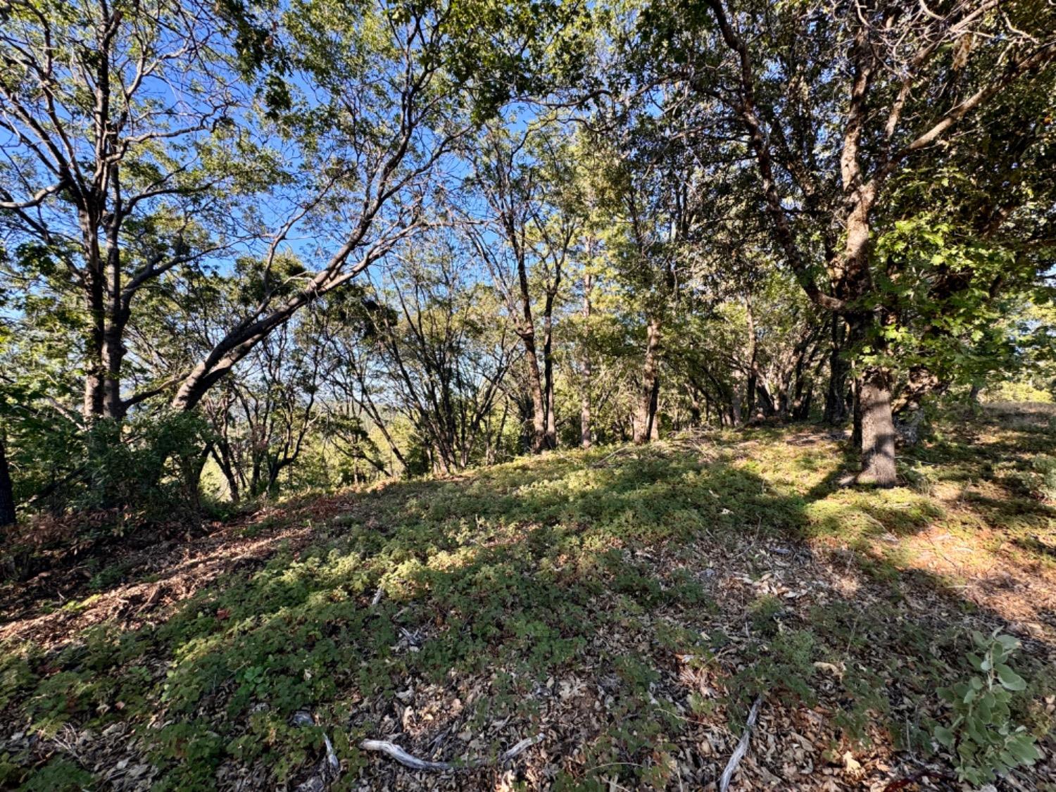0 Forest Meadows Road