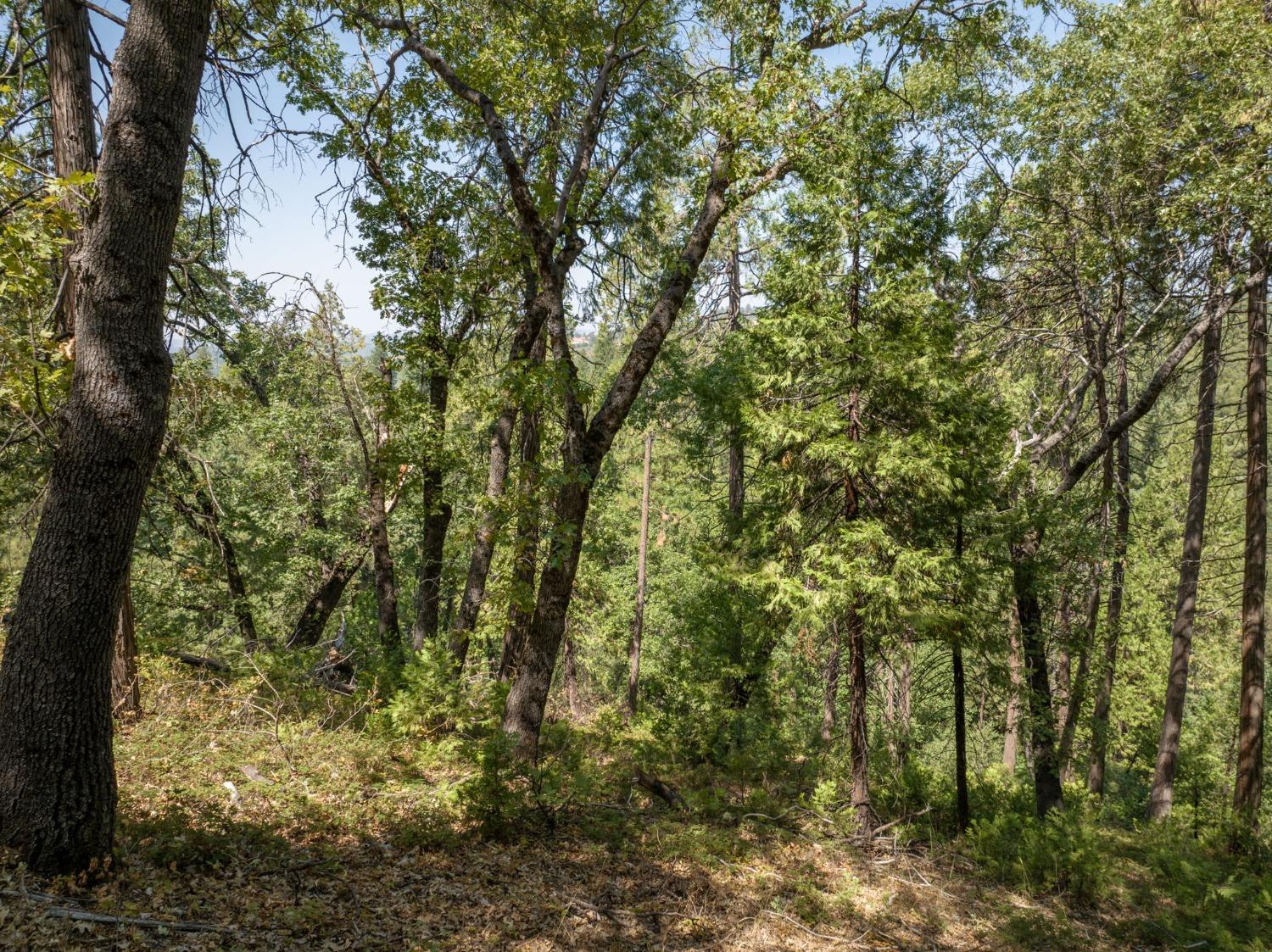 0 Forest Meadows Road