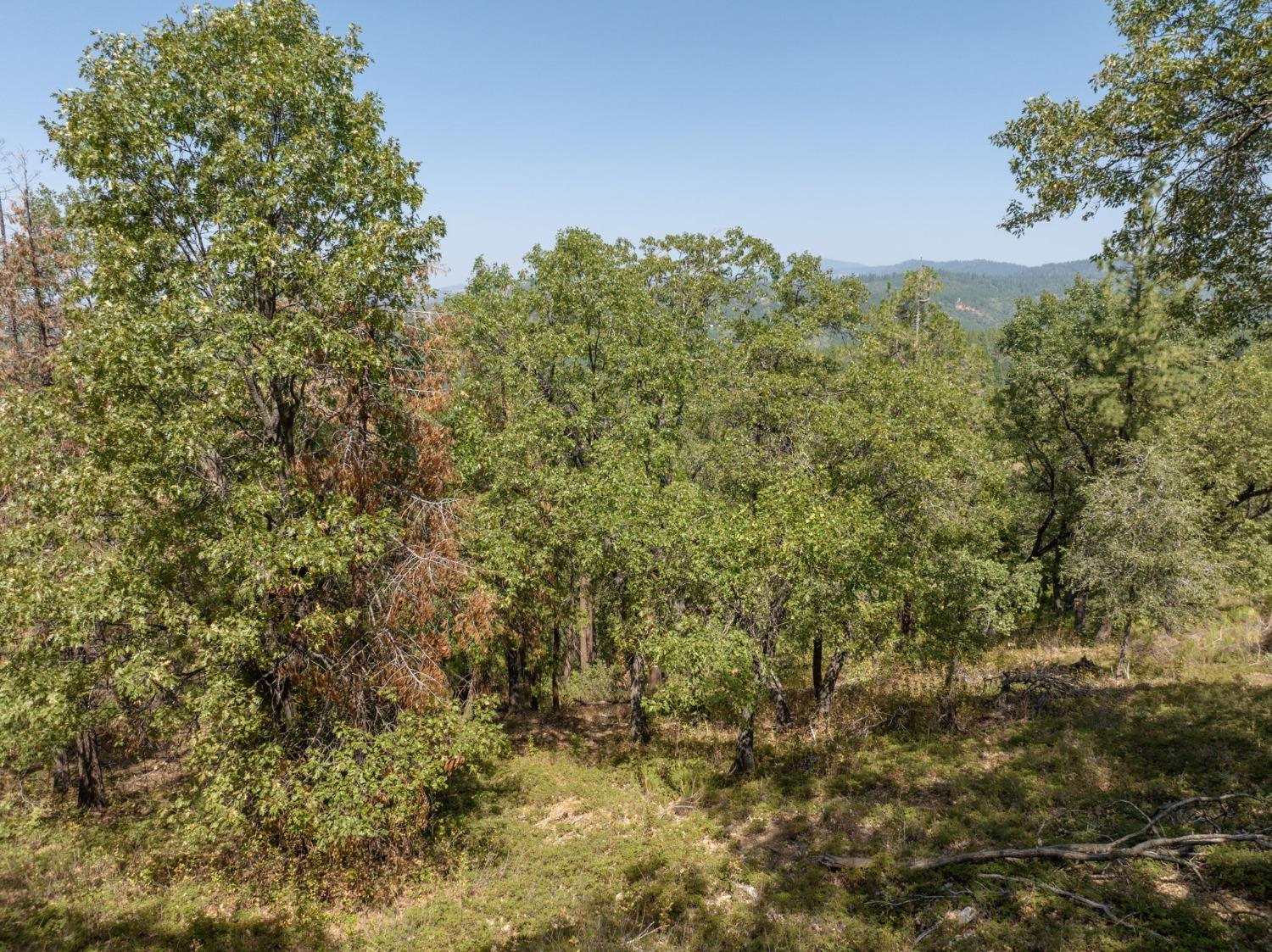 0 Forest Meadows Road