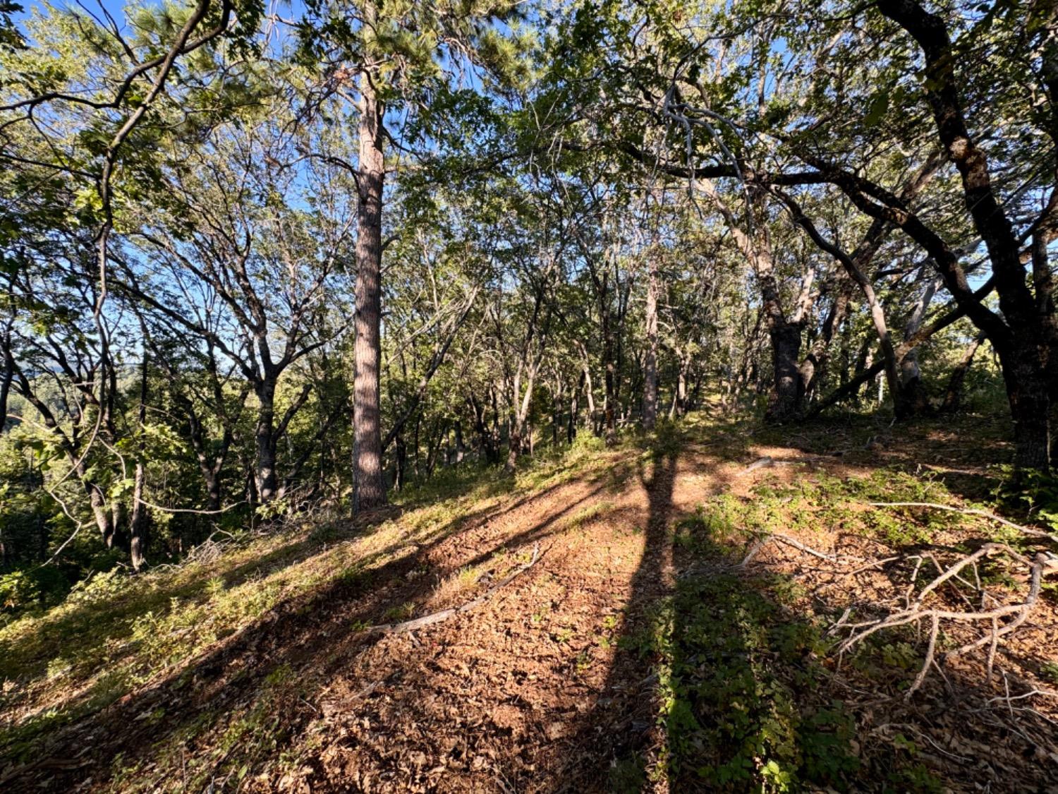 0 Forest Meadows Road
