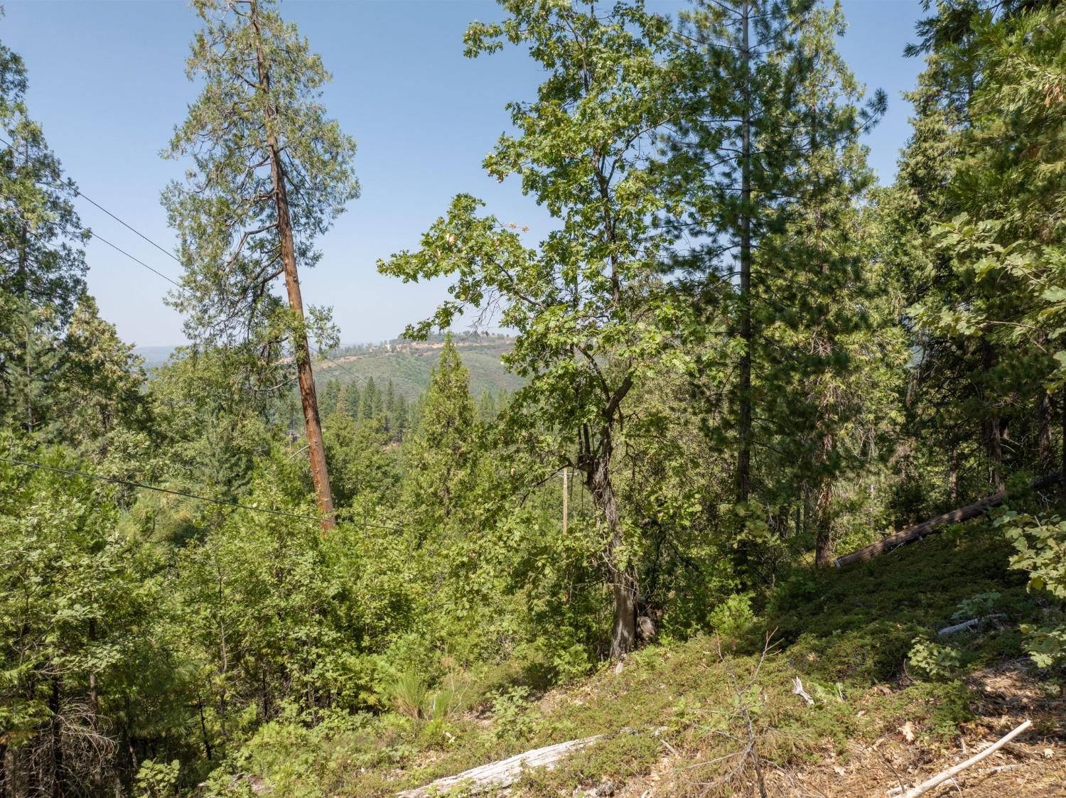0 Forest Meadows Road