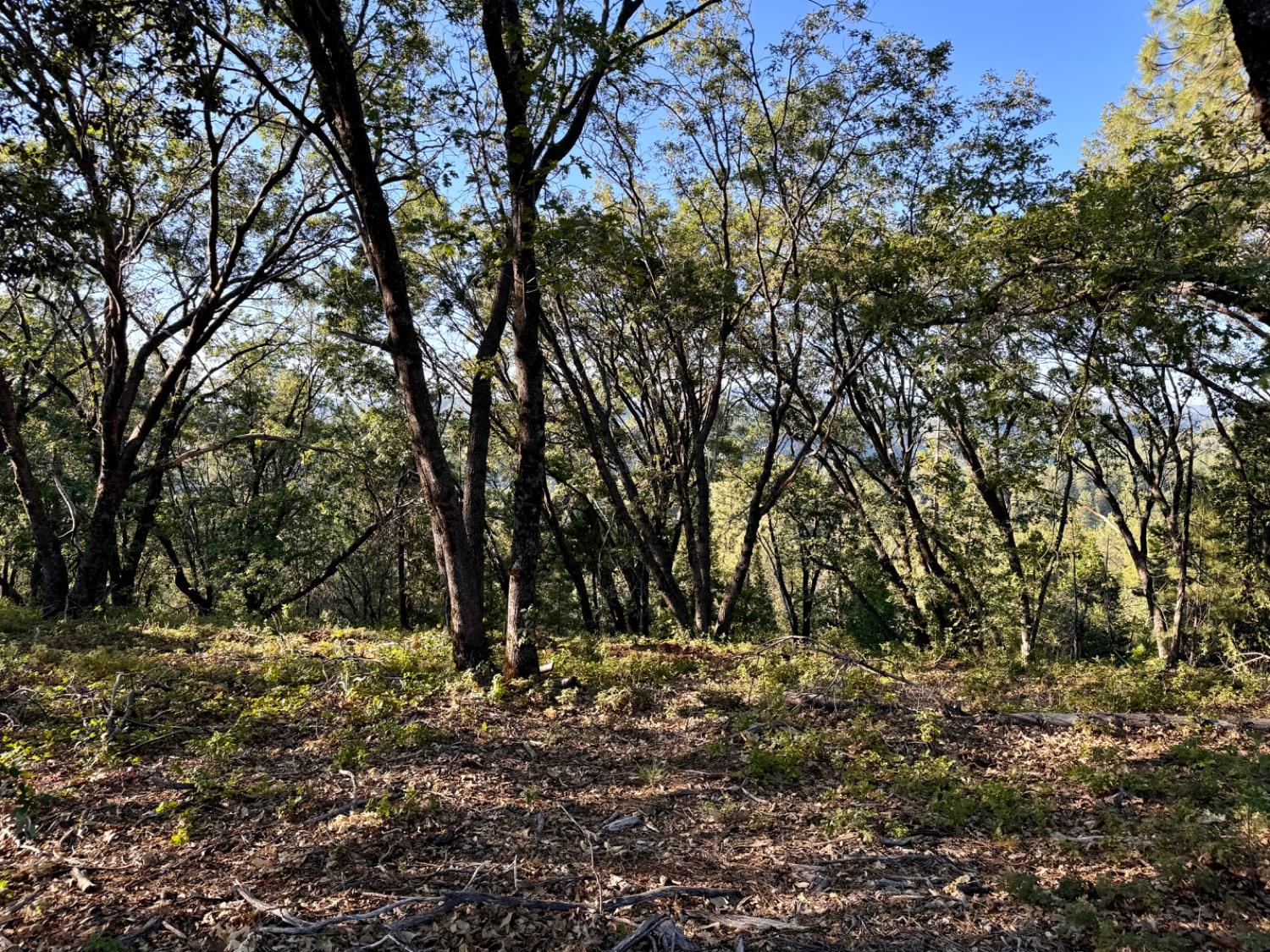 0 Forest Meadows Road