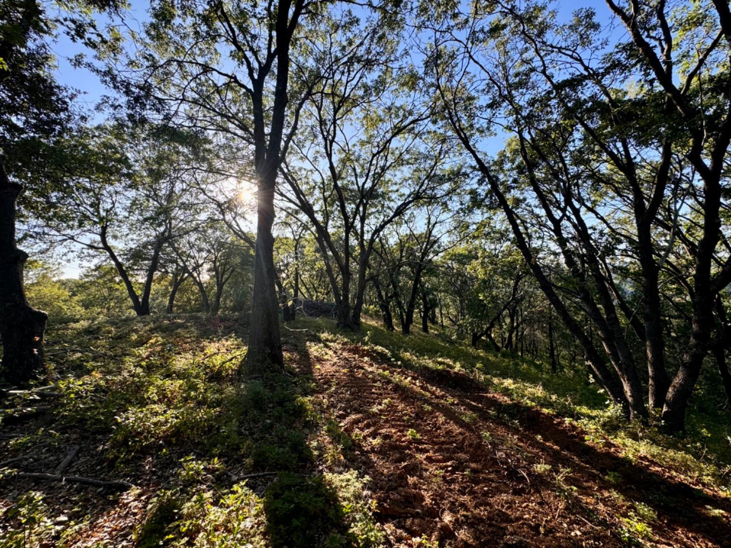 0 Forest Meadows Road
