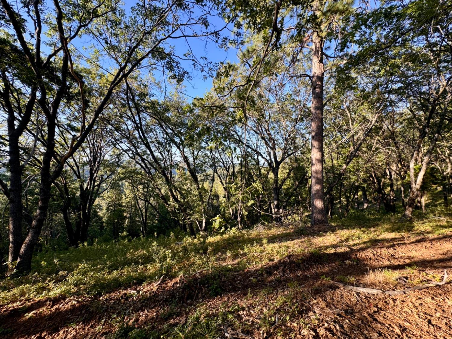 0 Forest Meadows Road