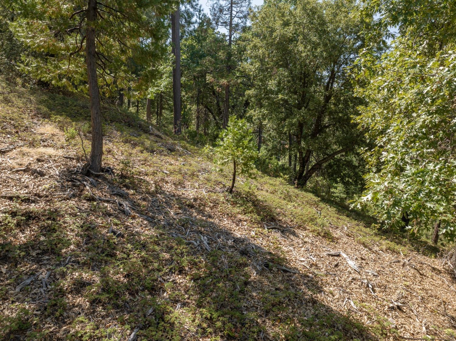 0 Forest Meadows Road