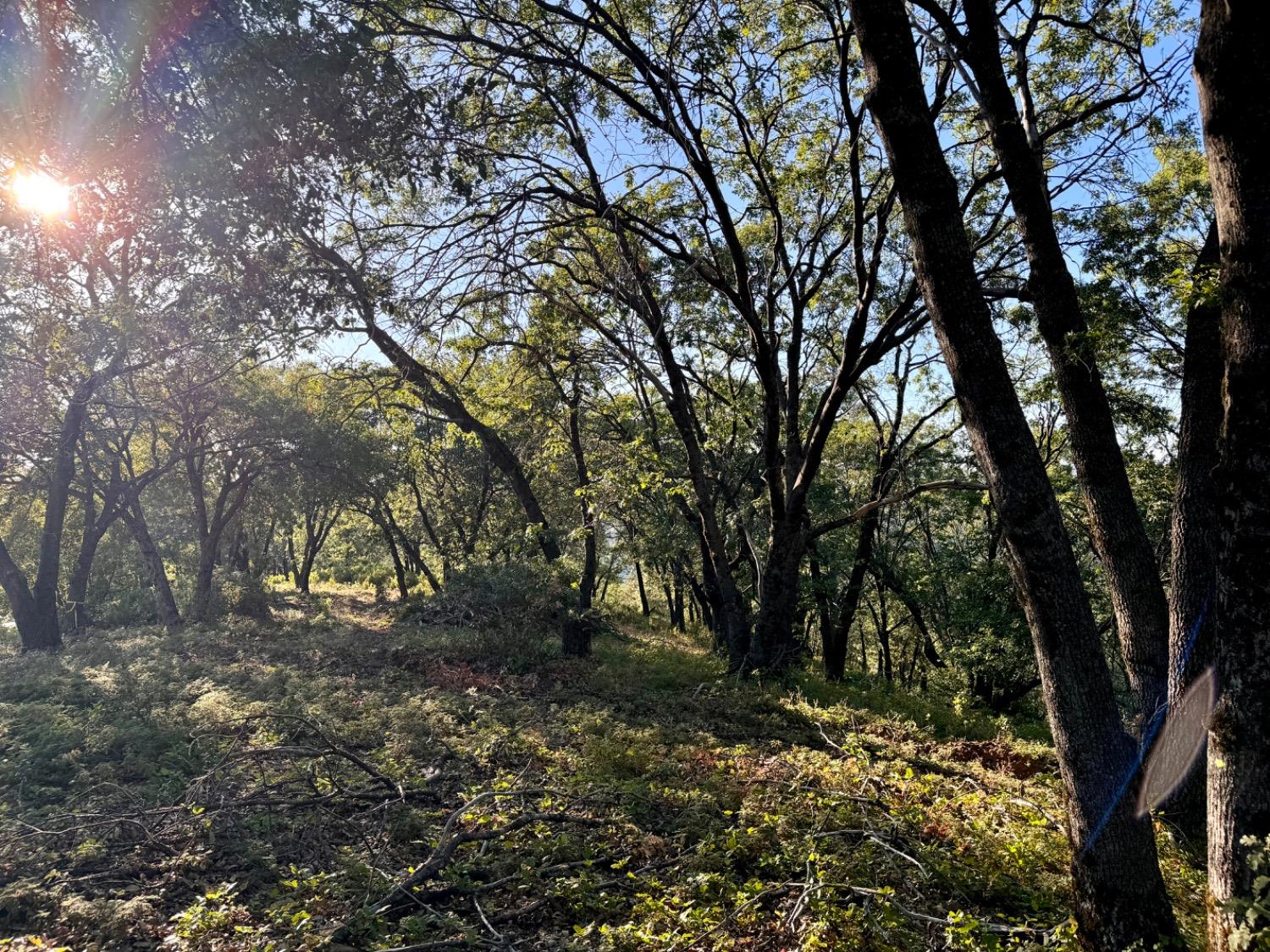 0 Forest Meadows Road