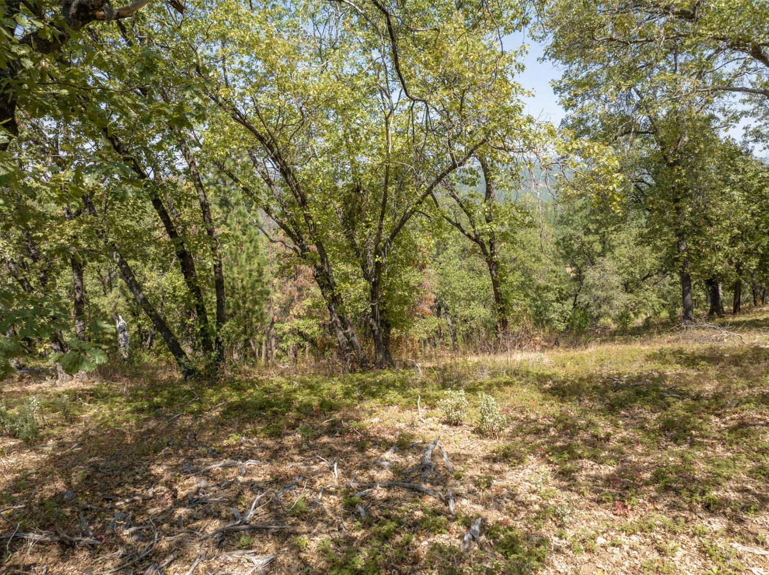 0 Forest Meadows Road
