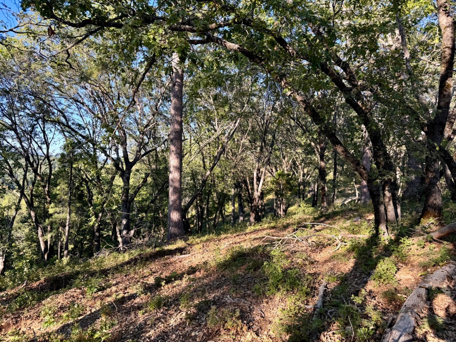 0 Forest Meadows Road