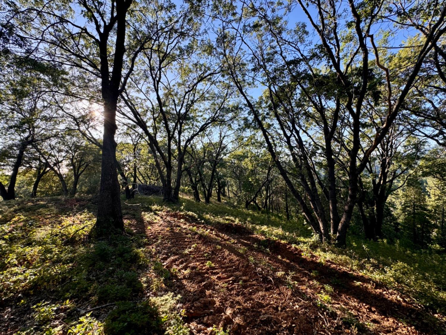 0 Forest Meadows Road