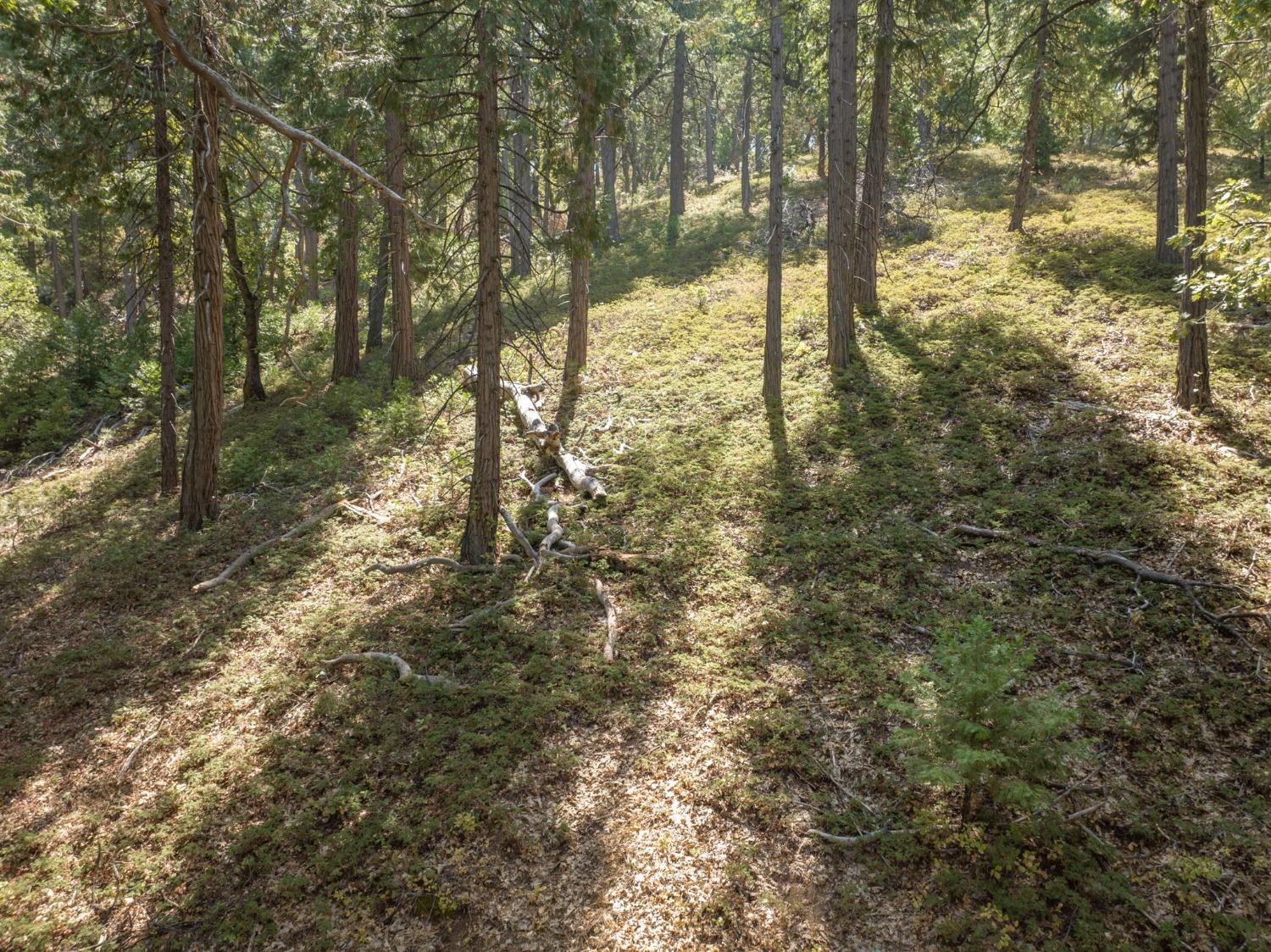 0 Forest Meadows Road