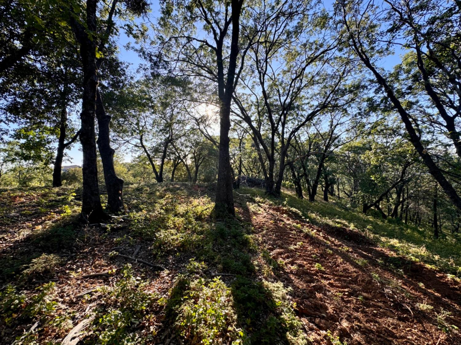 0 Forest Meadows Road