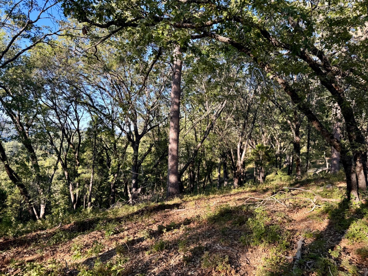 0 Forest Meadows Road
