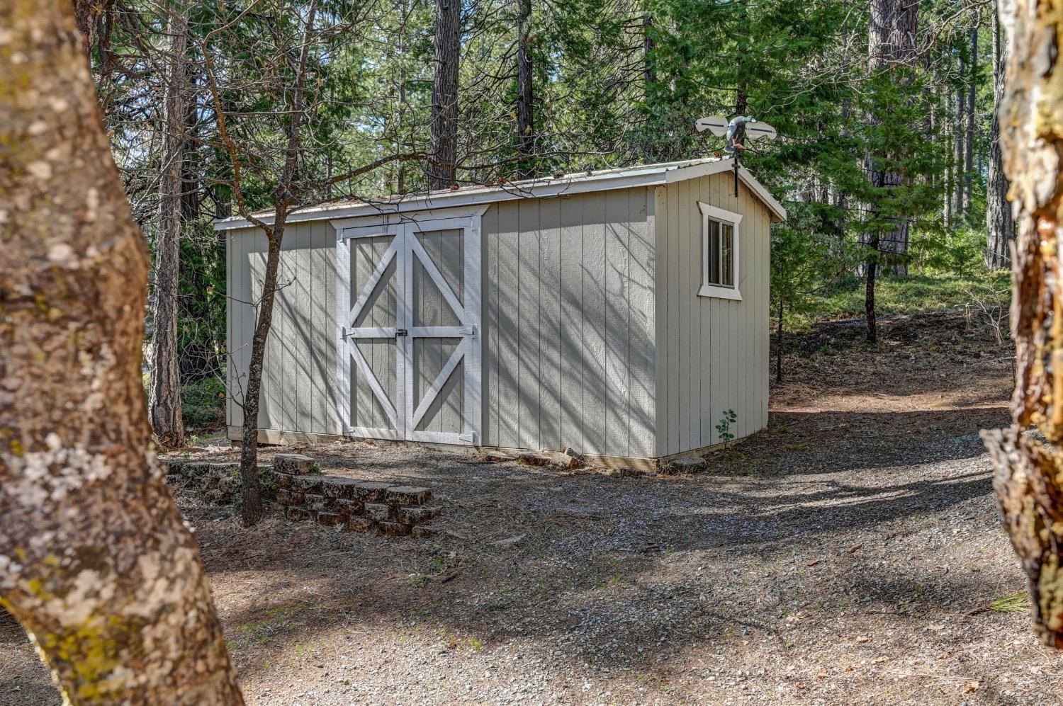 3025 Black Bear Drive