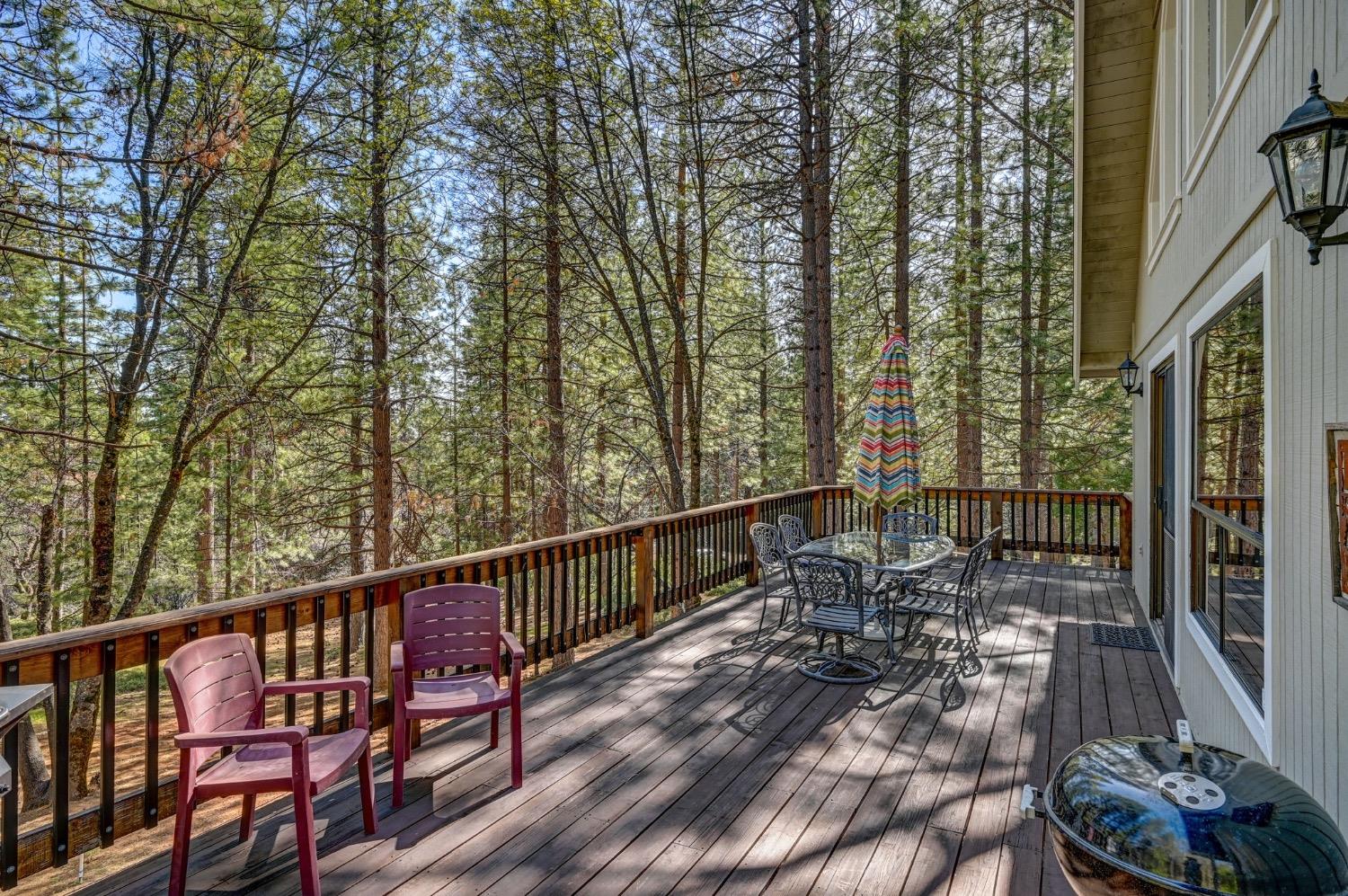 3025 Black Bear Drive