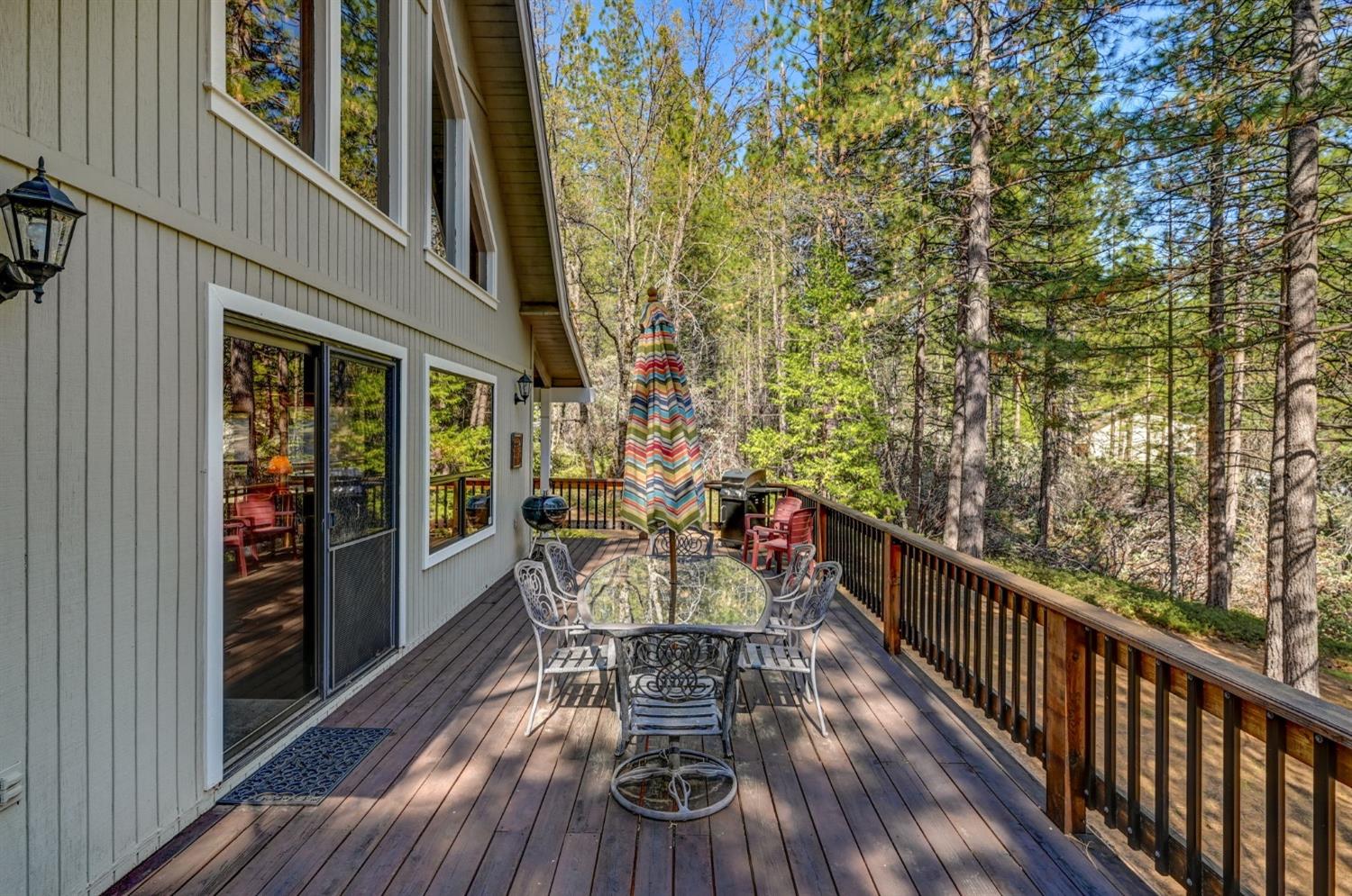 3025 Black Bear Drive