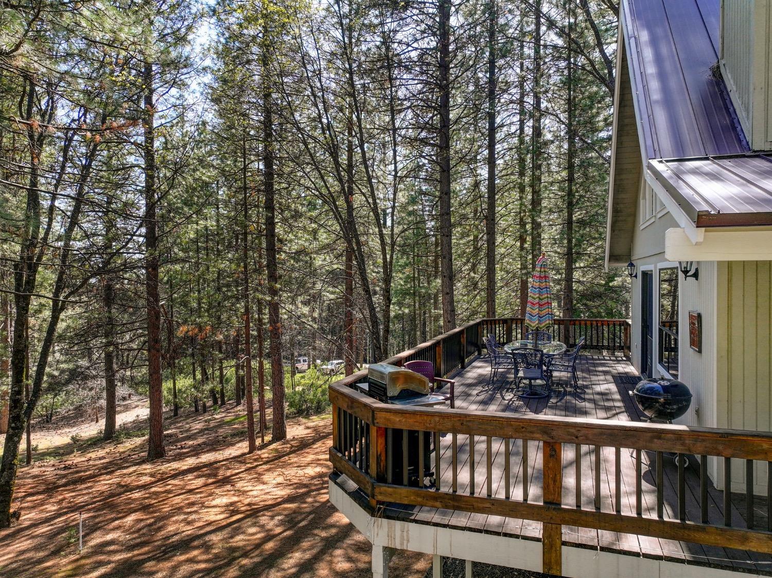 3025 Black Bear Drive