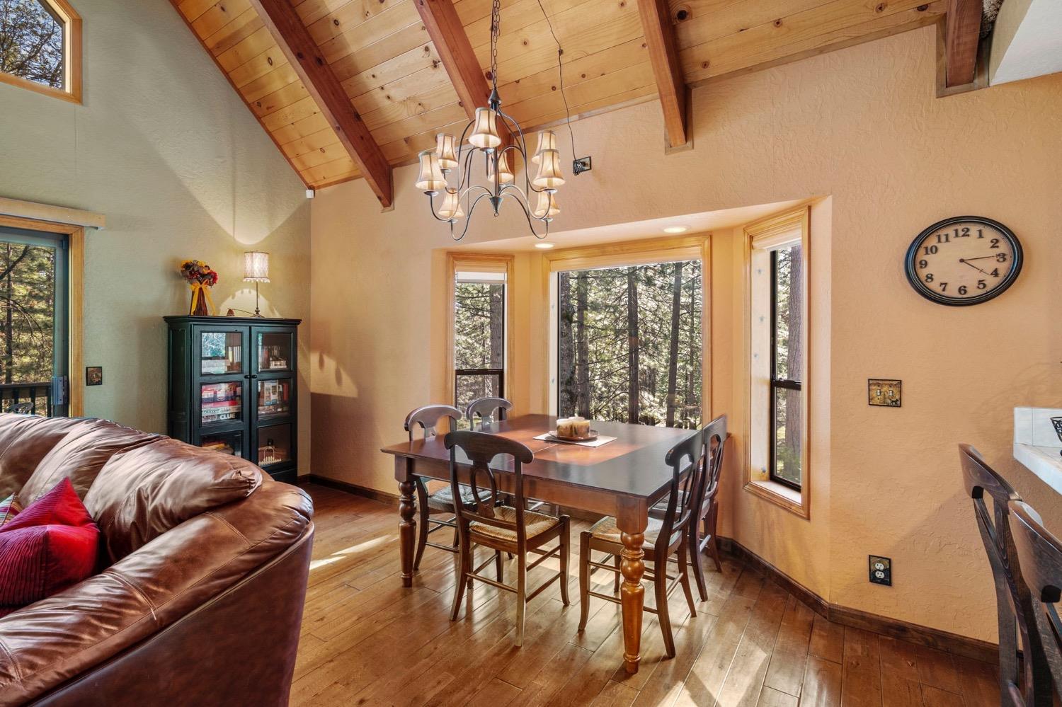 3025 Black Bear Drive