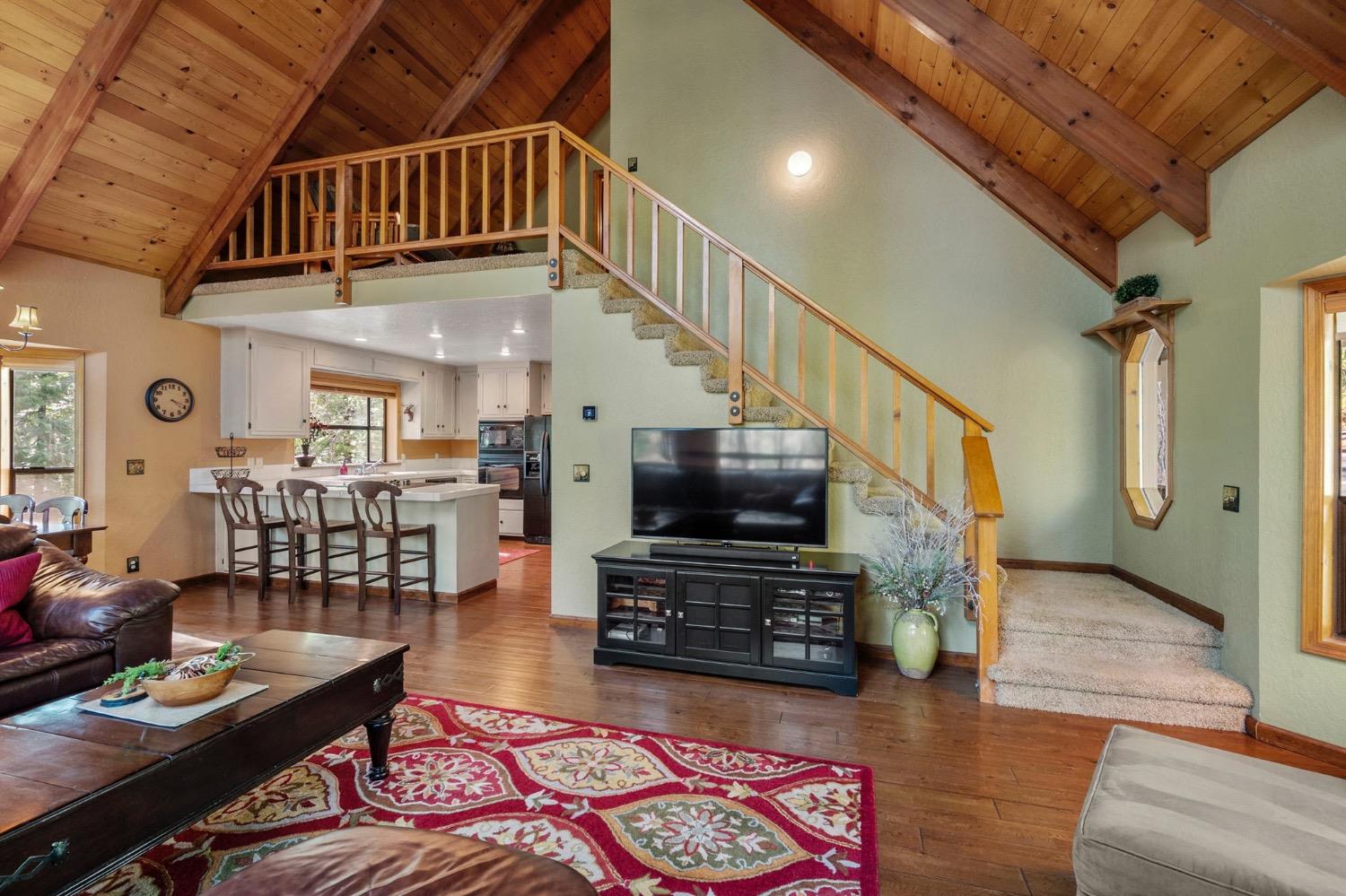 3025 Black Bear Drive