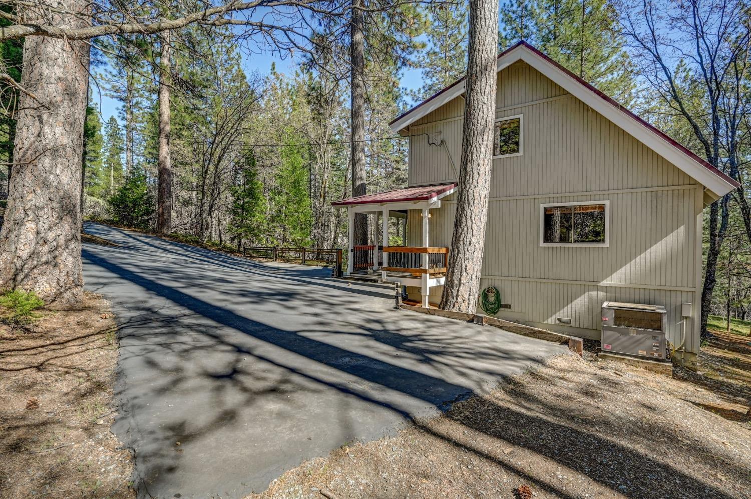 3025 Black Bear Drive