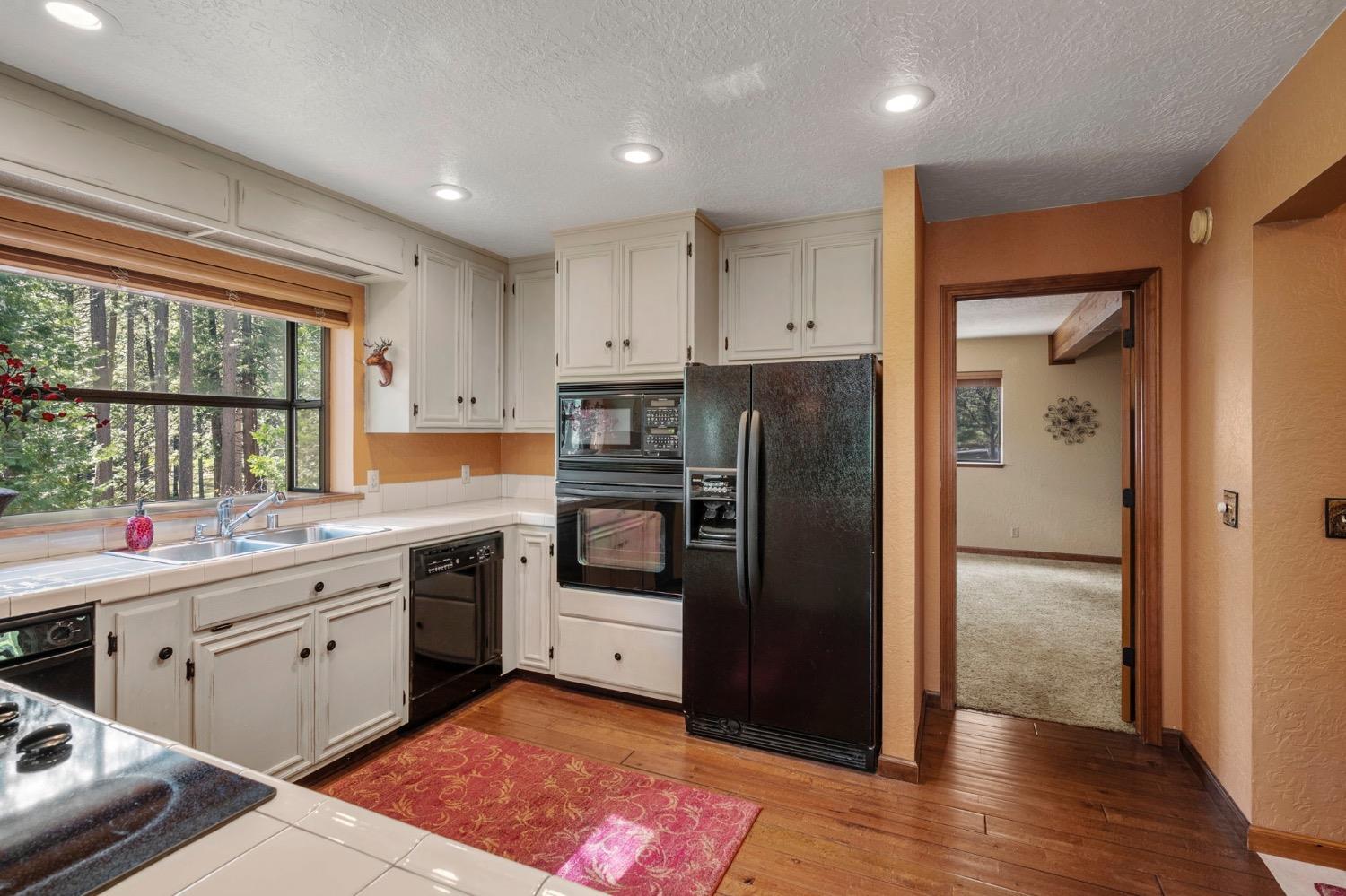 3025 Black Bear Drive