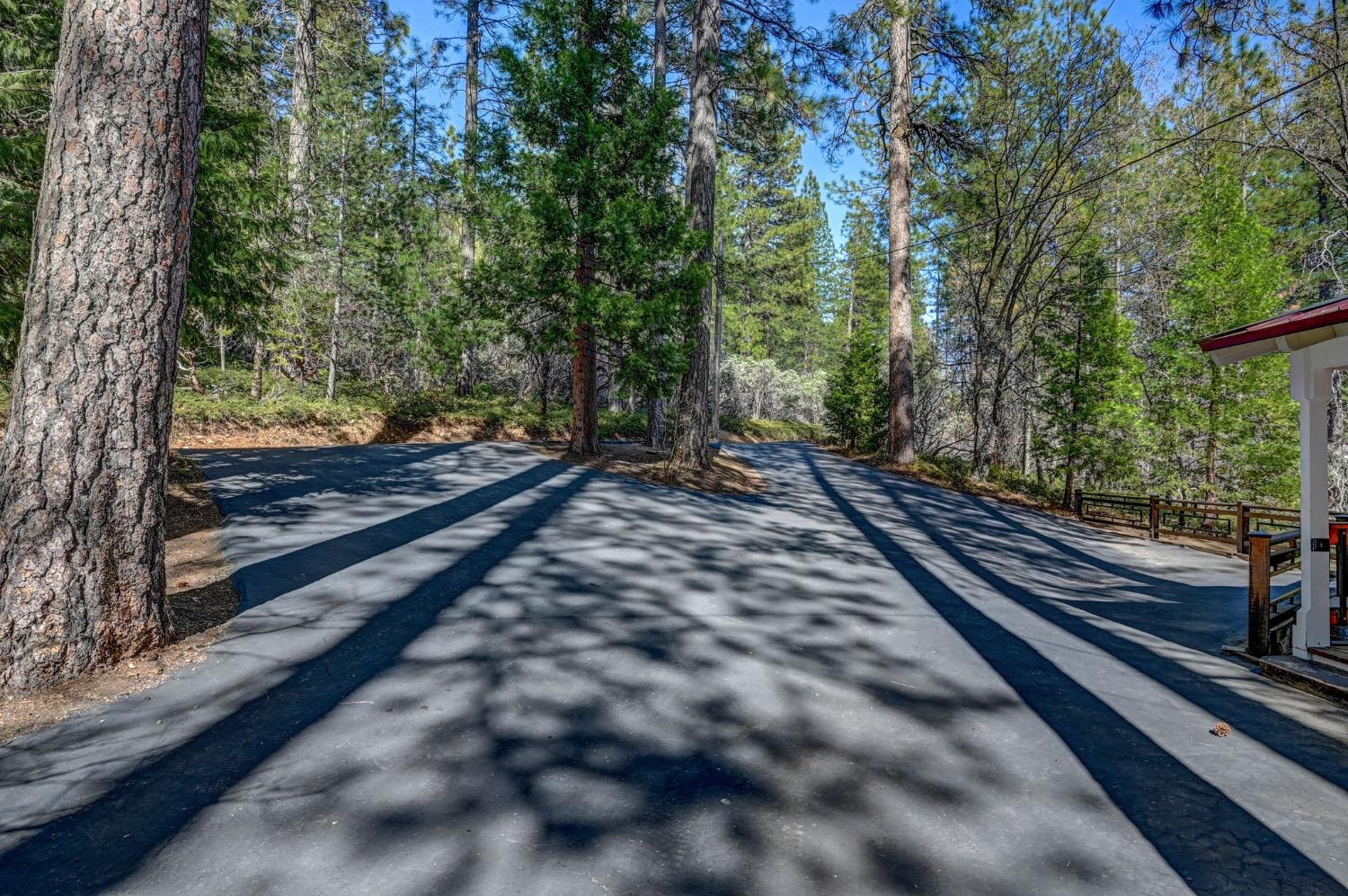 3025 Black Bear Drive
