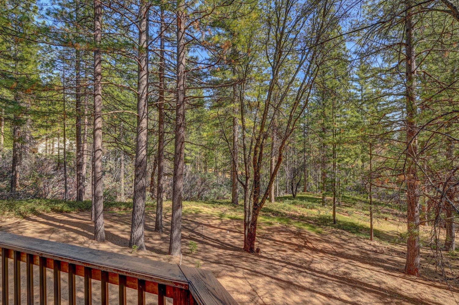 3025 Black Bear Drive
