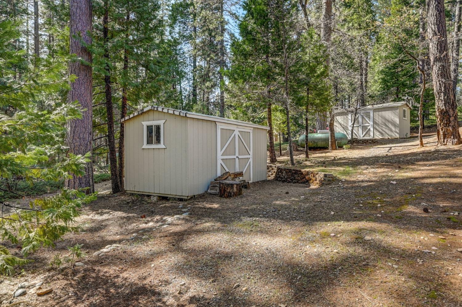 3025 Black Bear Drive