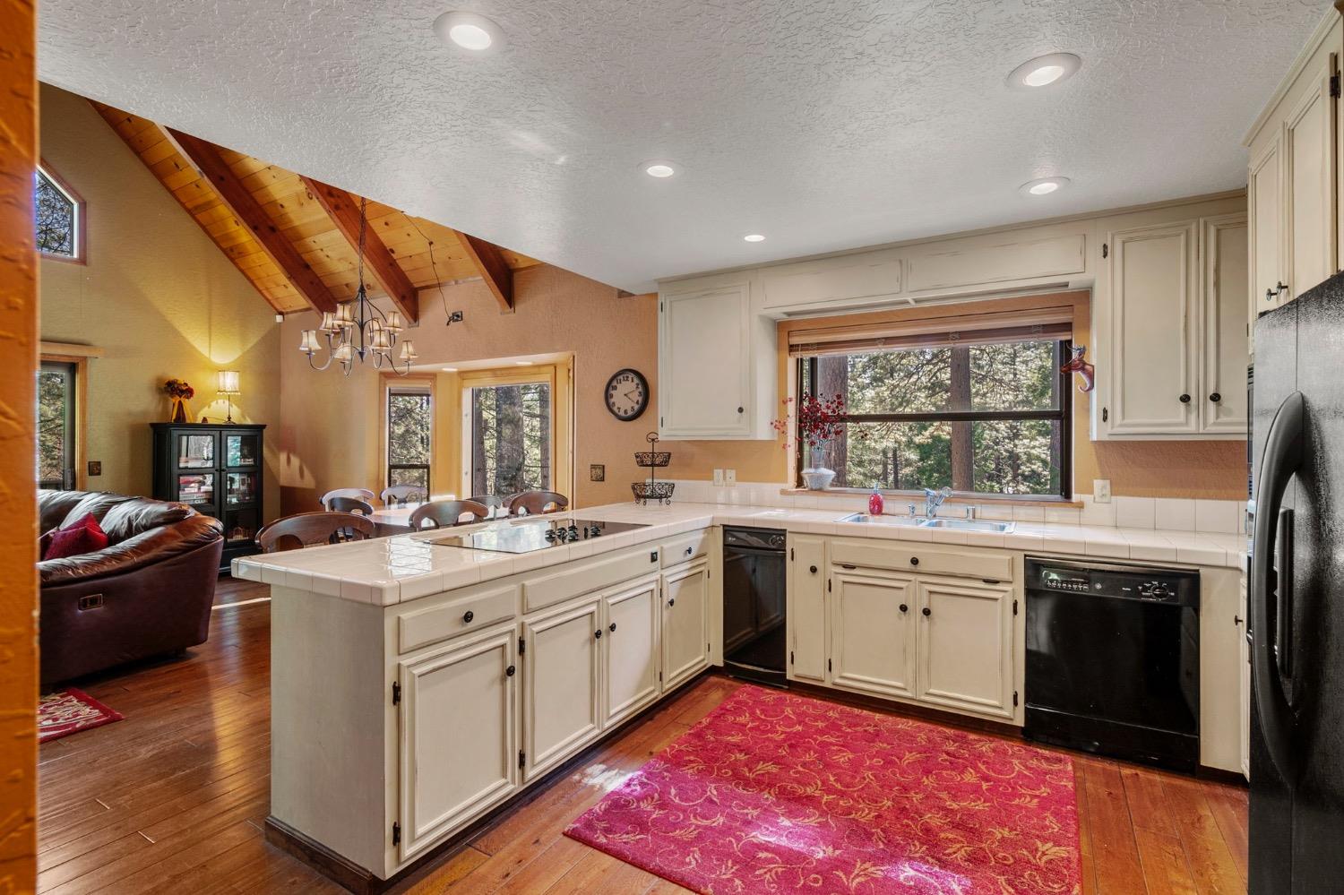 3025 Black Bear Drive