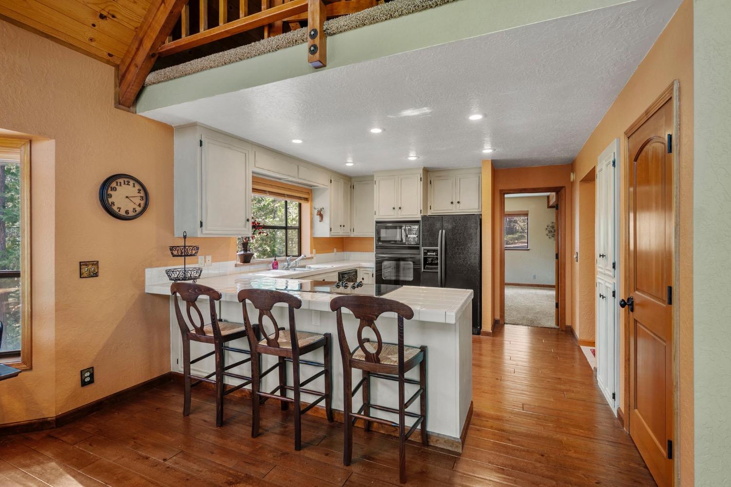 3025 Black Bear Drive
