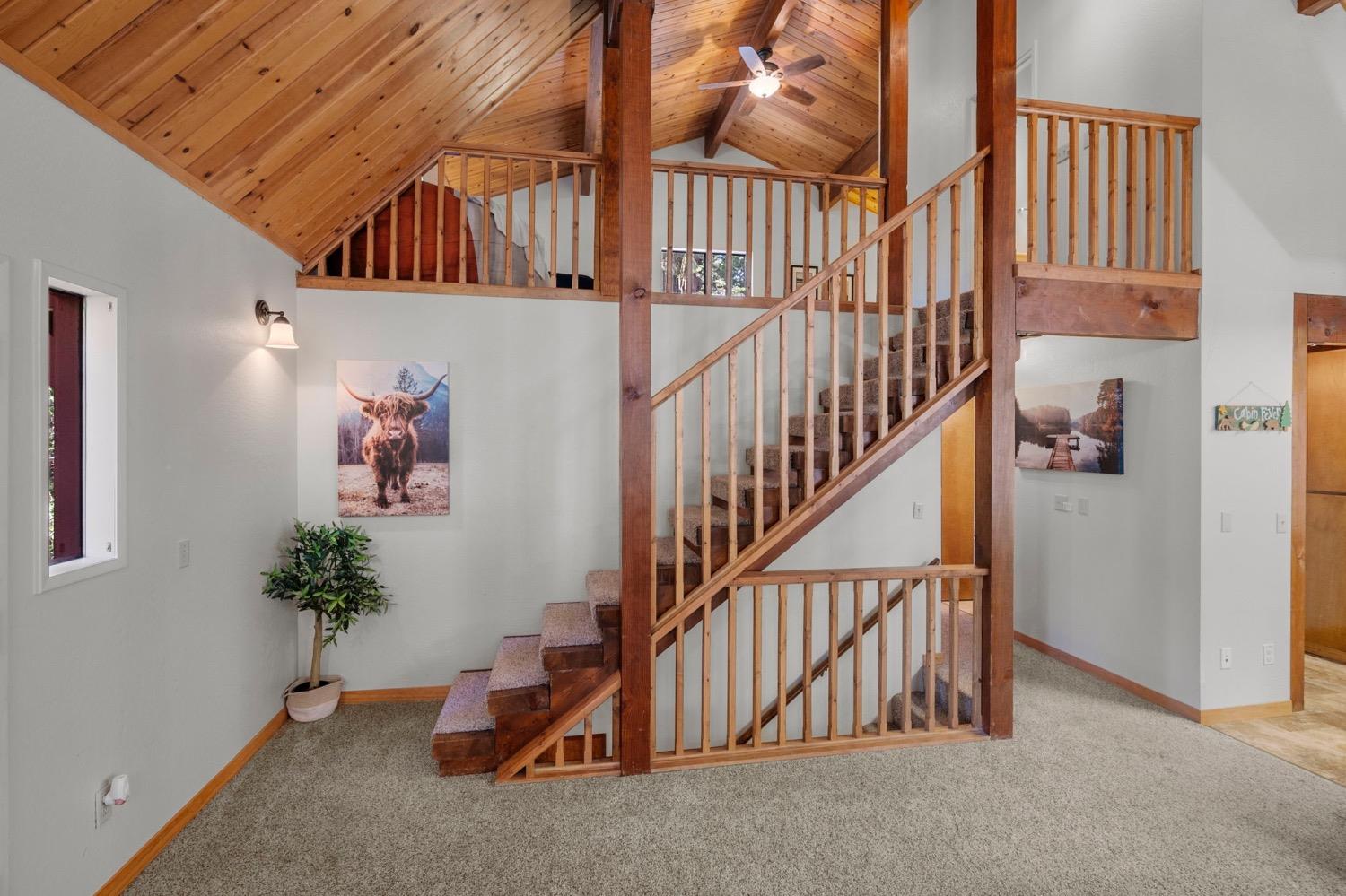1300 Shoshone Drive
