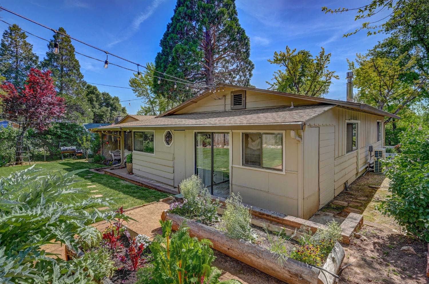 584 Williams Street