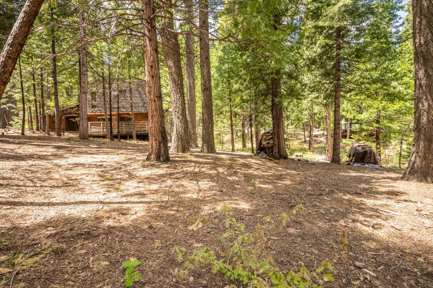 2447 Karock Road