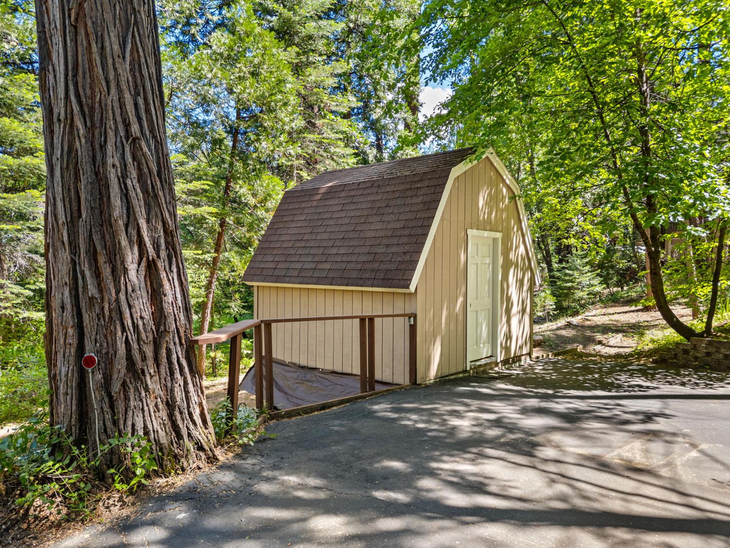 2415 Murphys Drive
