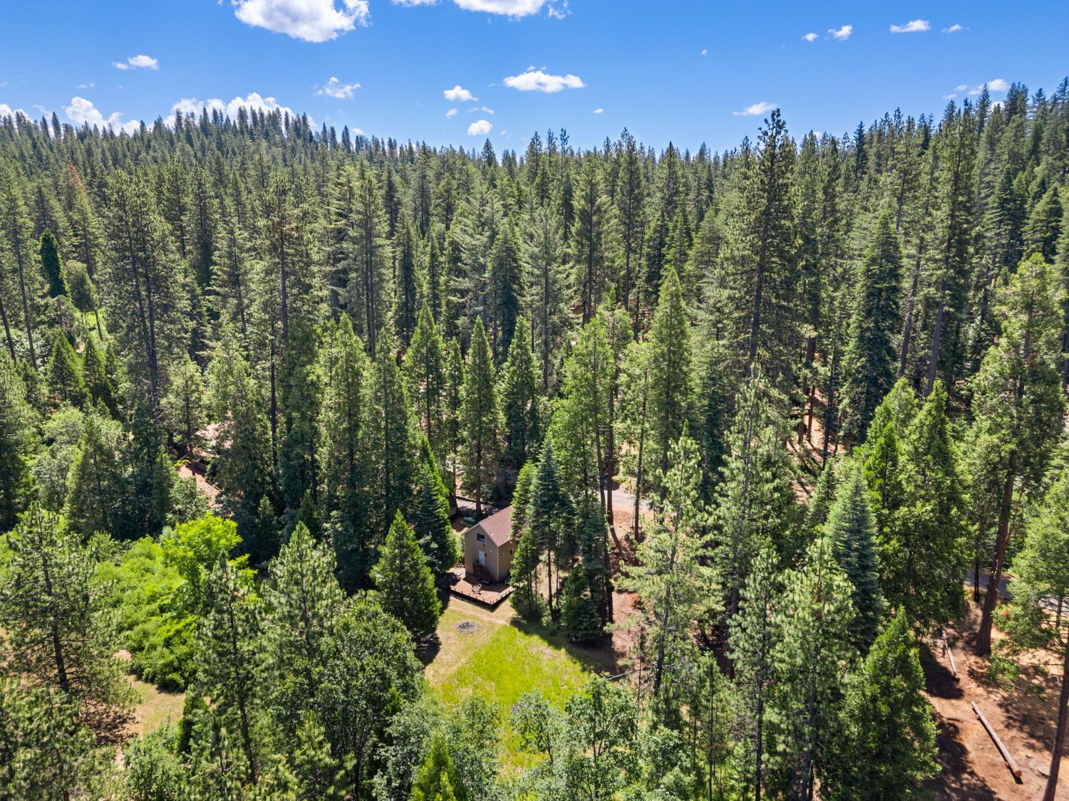 2415 Murphys Drive