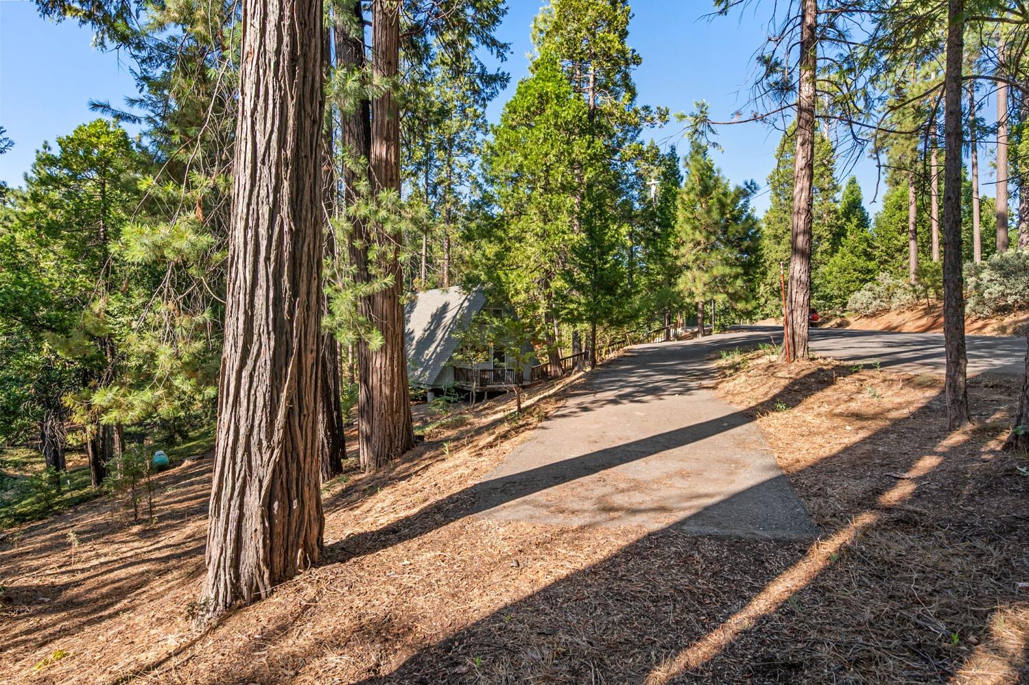 2950 Placer Way