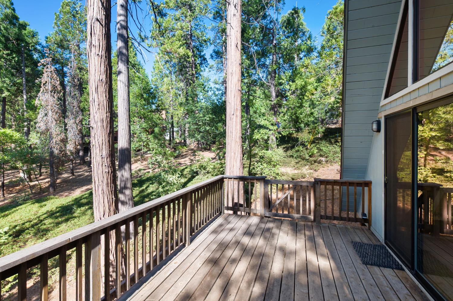 2950 Placer Way