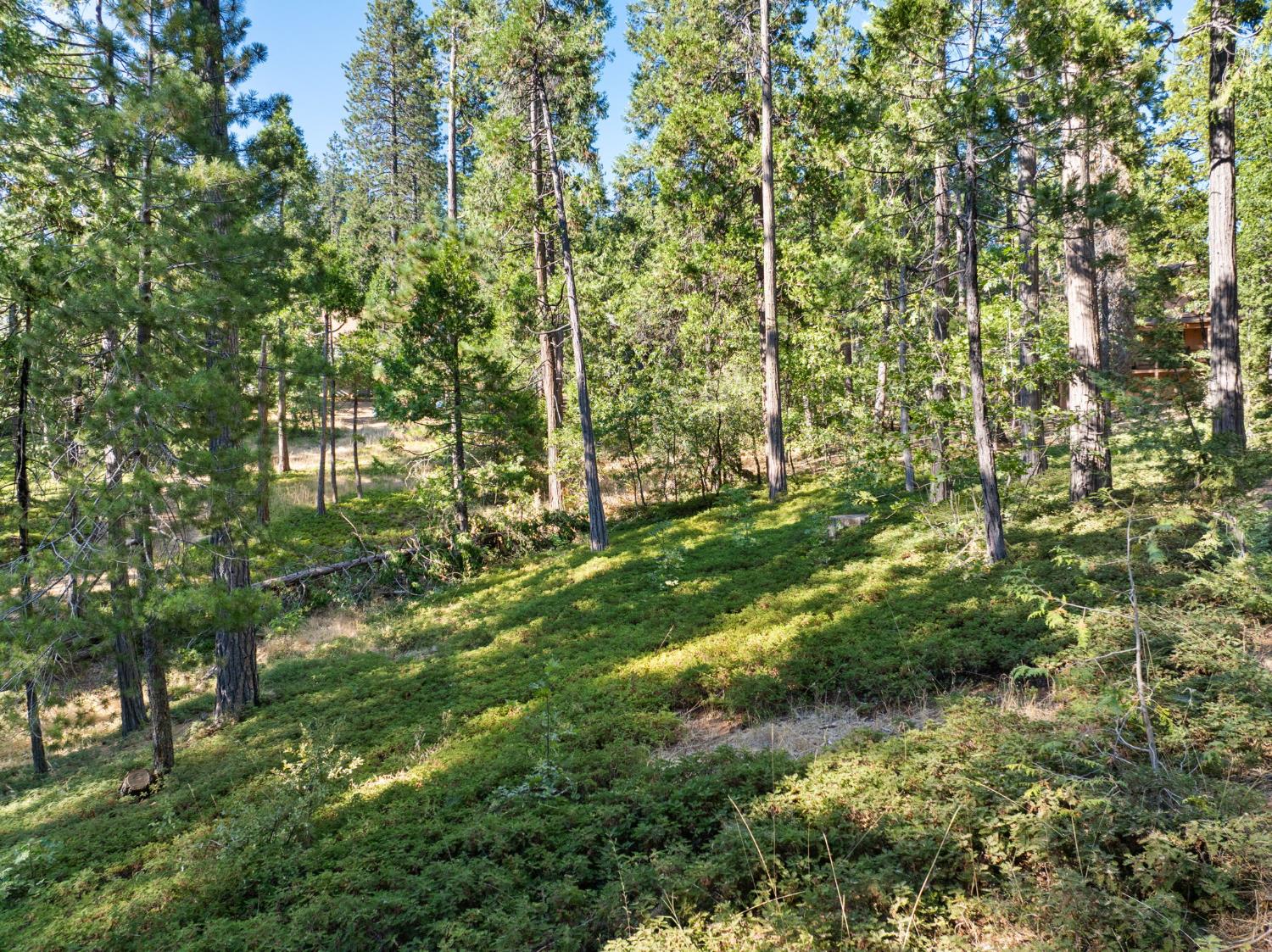 2950 Placer Way