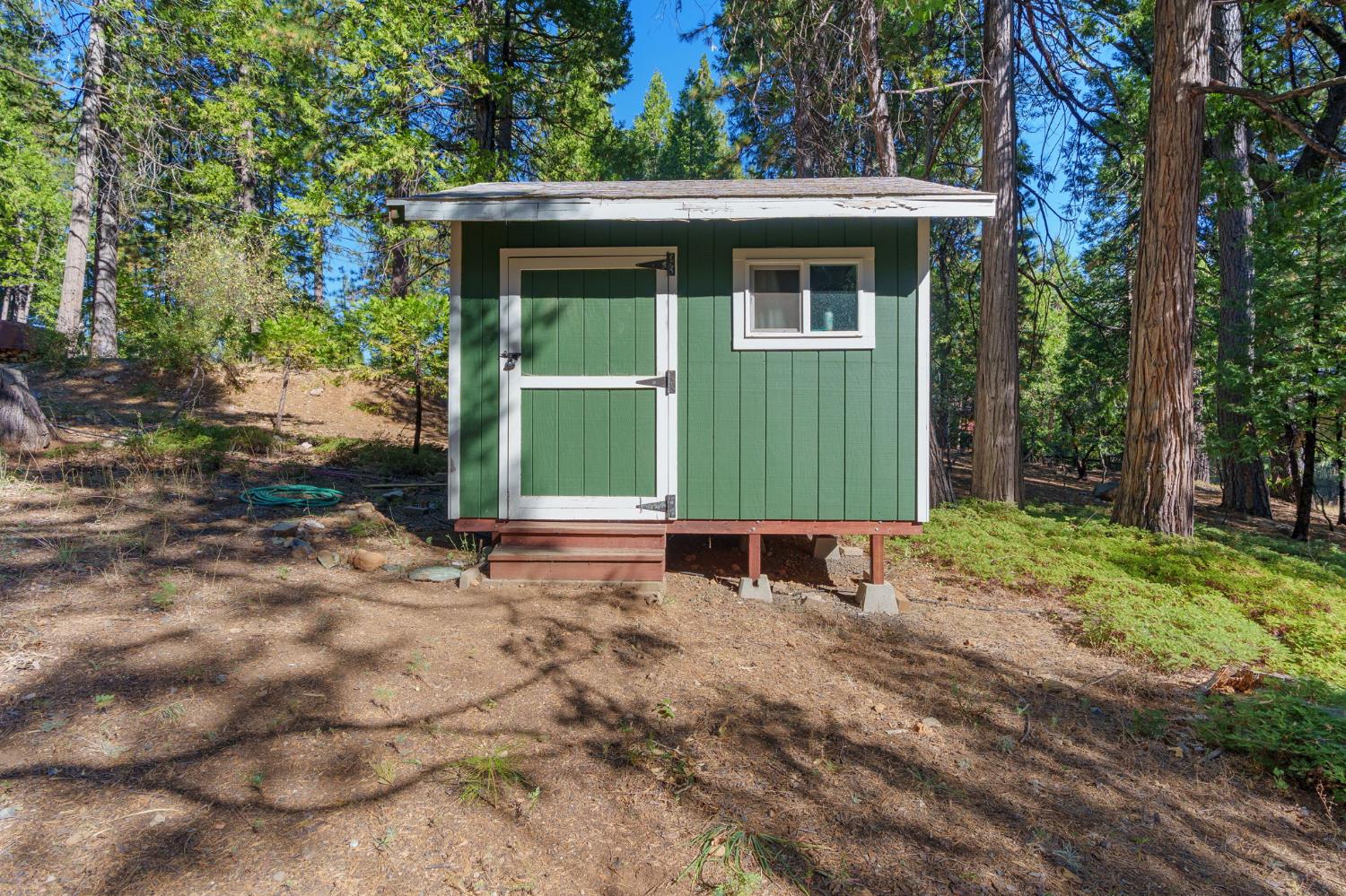Green detached shed with white trim and a window in a wooded clearing.