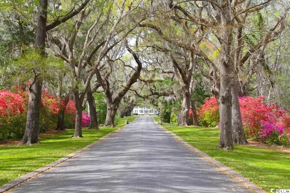 162 Vineyard Place Unit: 40