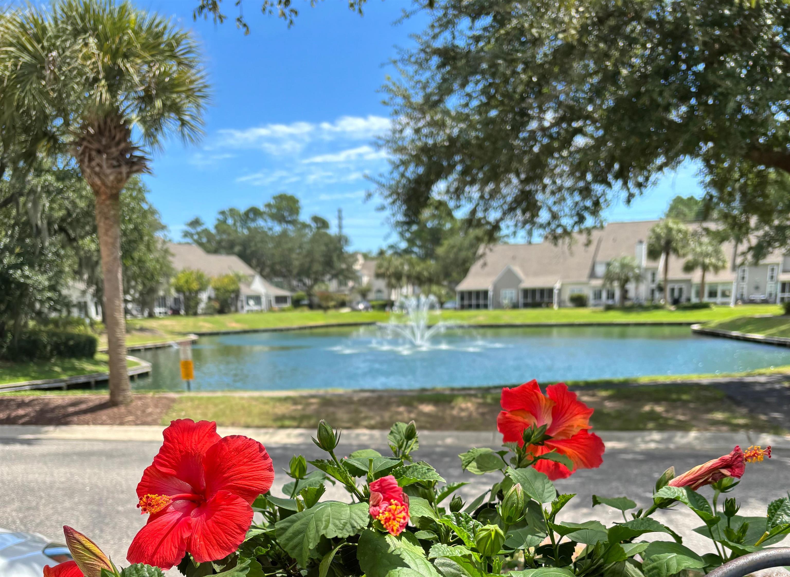 118 Palisade Loop Unit: 118