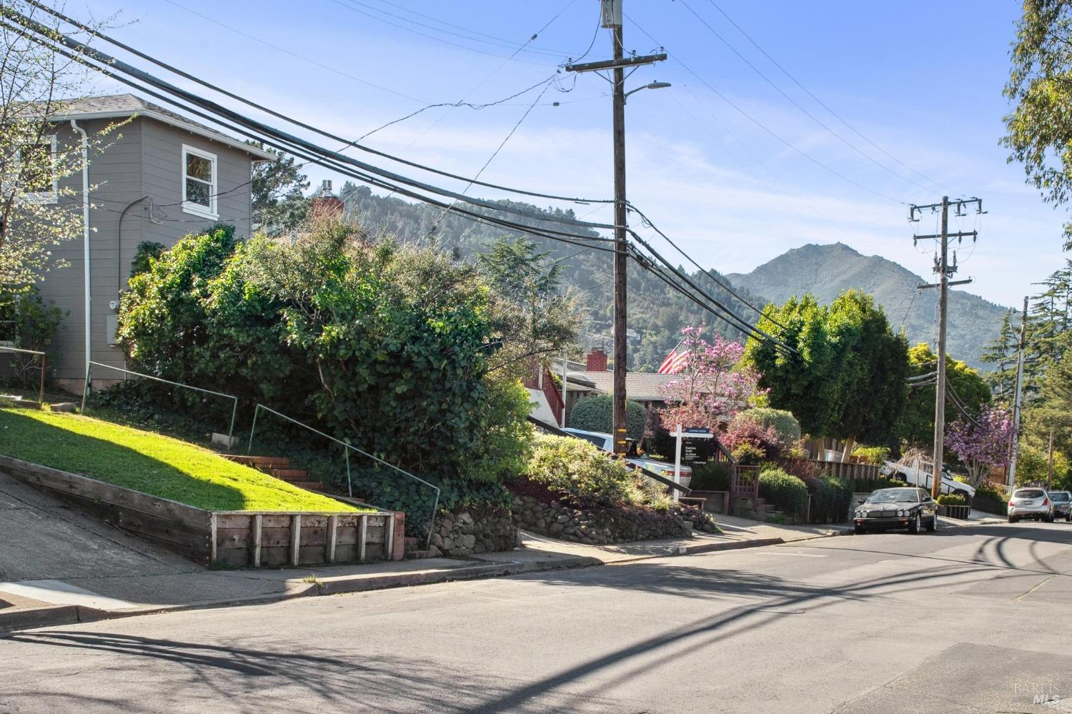 633 Meadowsweet Drive