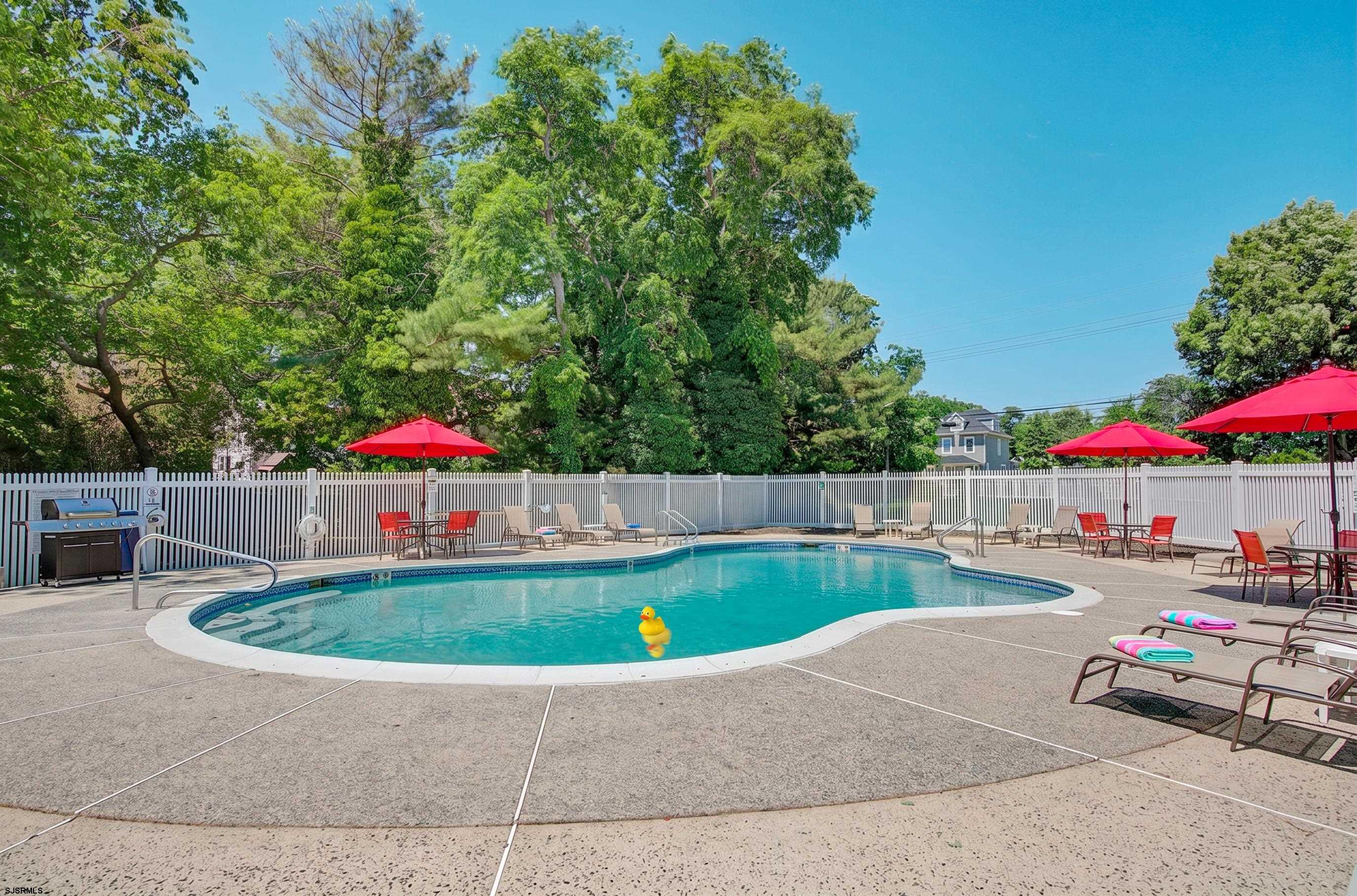 1105 Dolphin Ave Unit: 1105