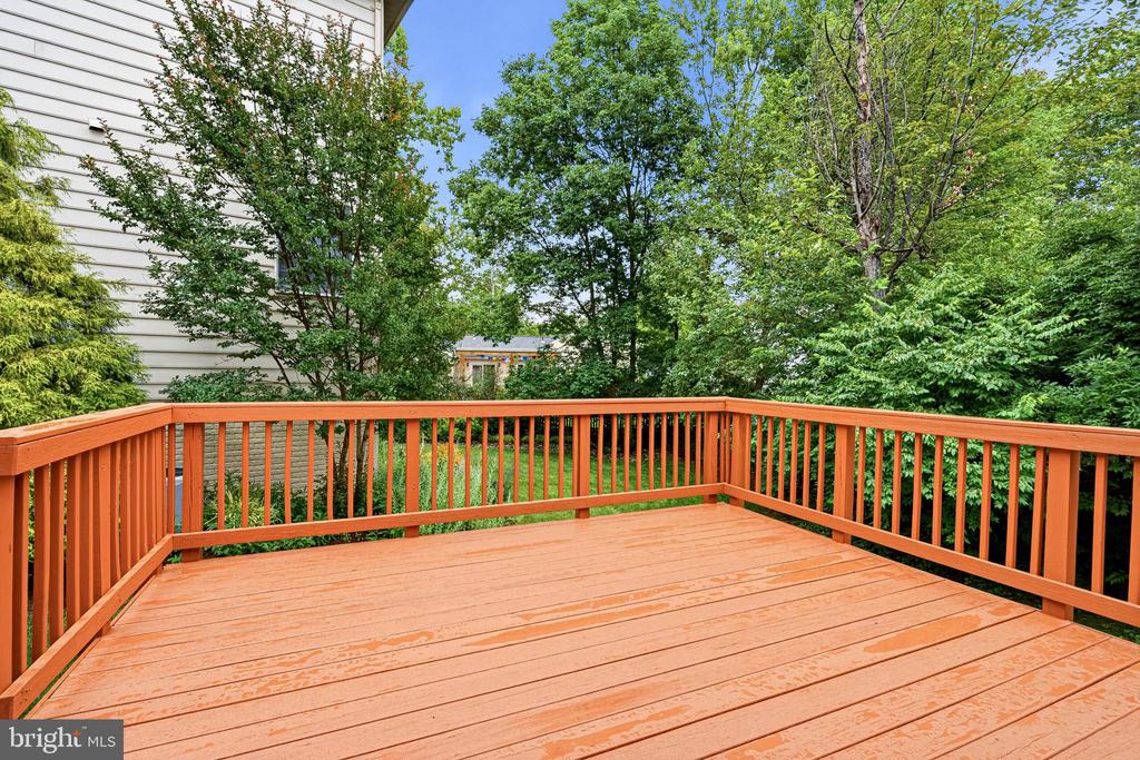 3009 WINDY KNOLL COURT