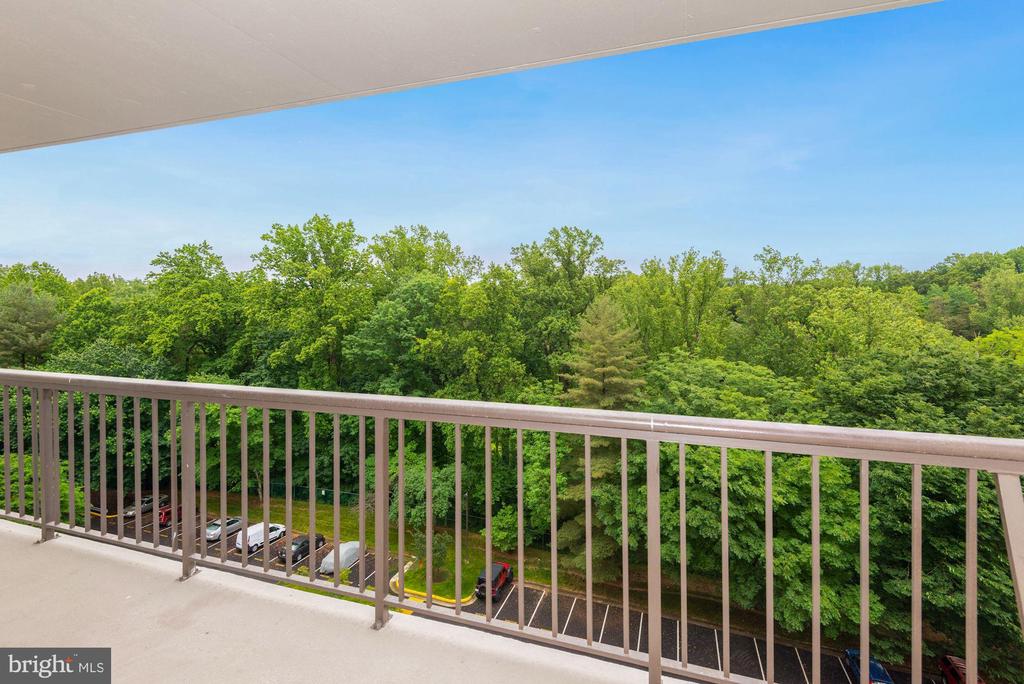 3800 POWELL LANE 813
