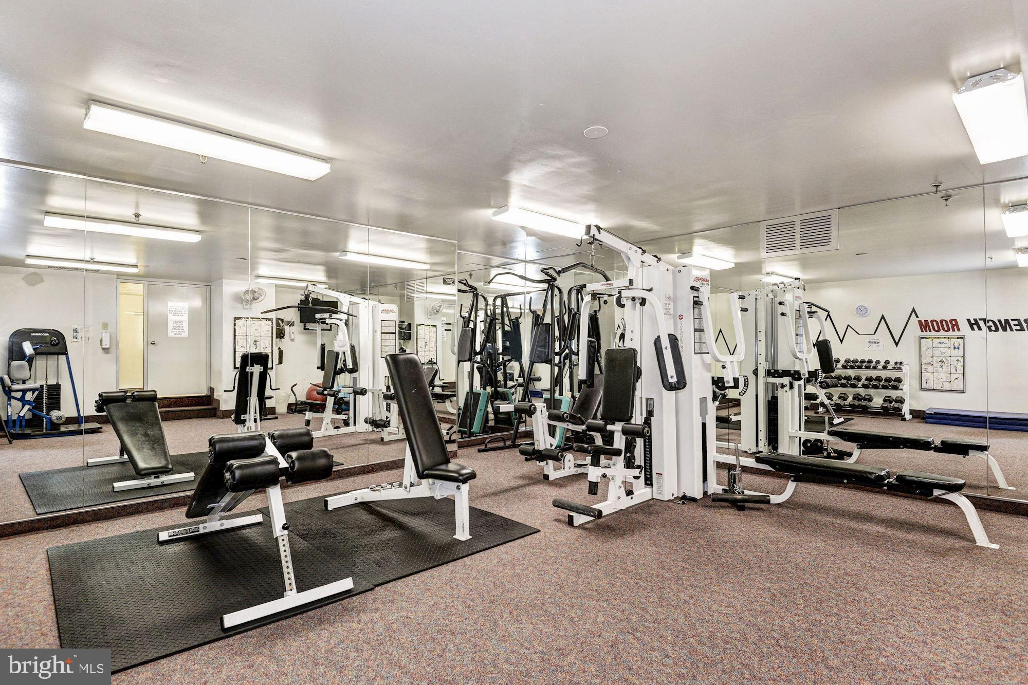 3800 POWELL LANE 813