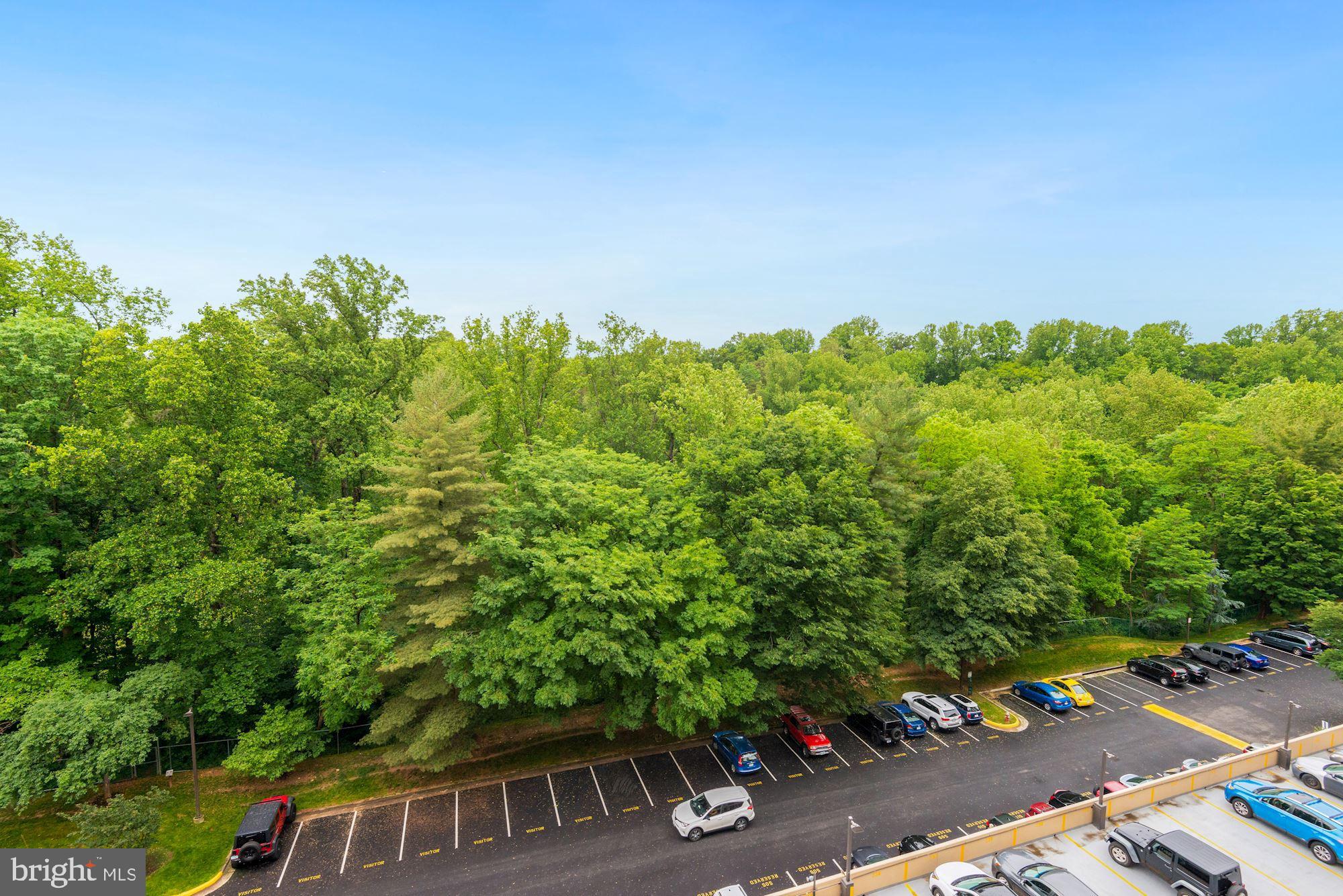 3800 POWELL LANE 813